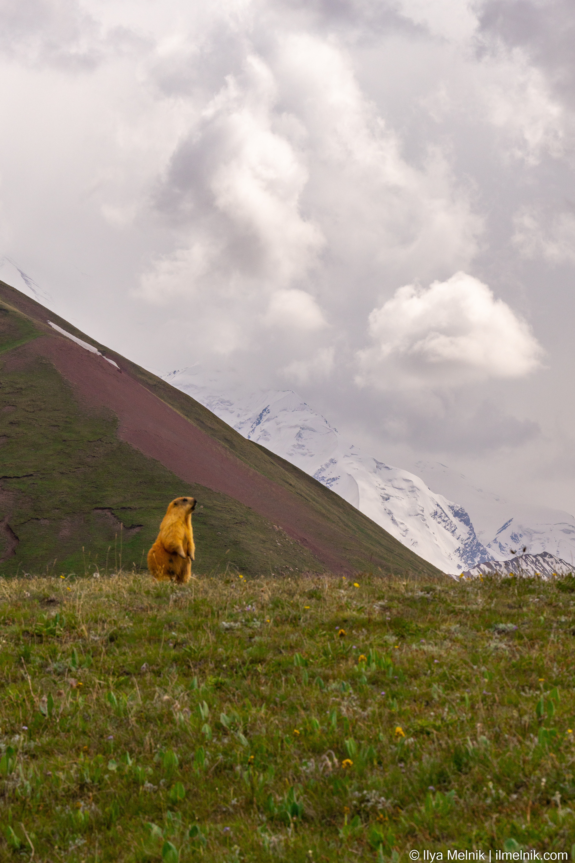 Kyrgyzstan. Ilya Melnik Photography