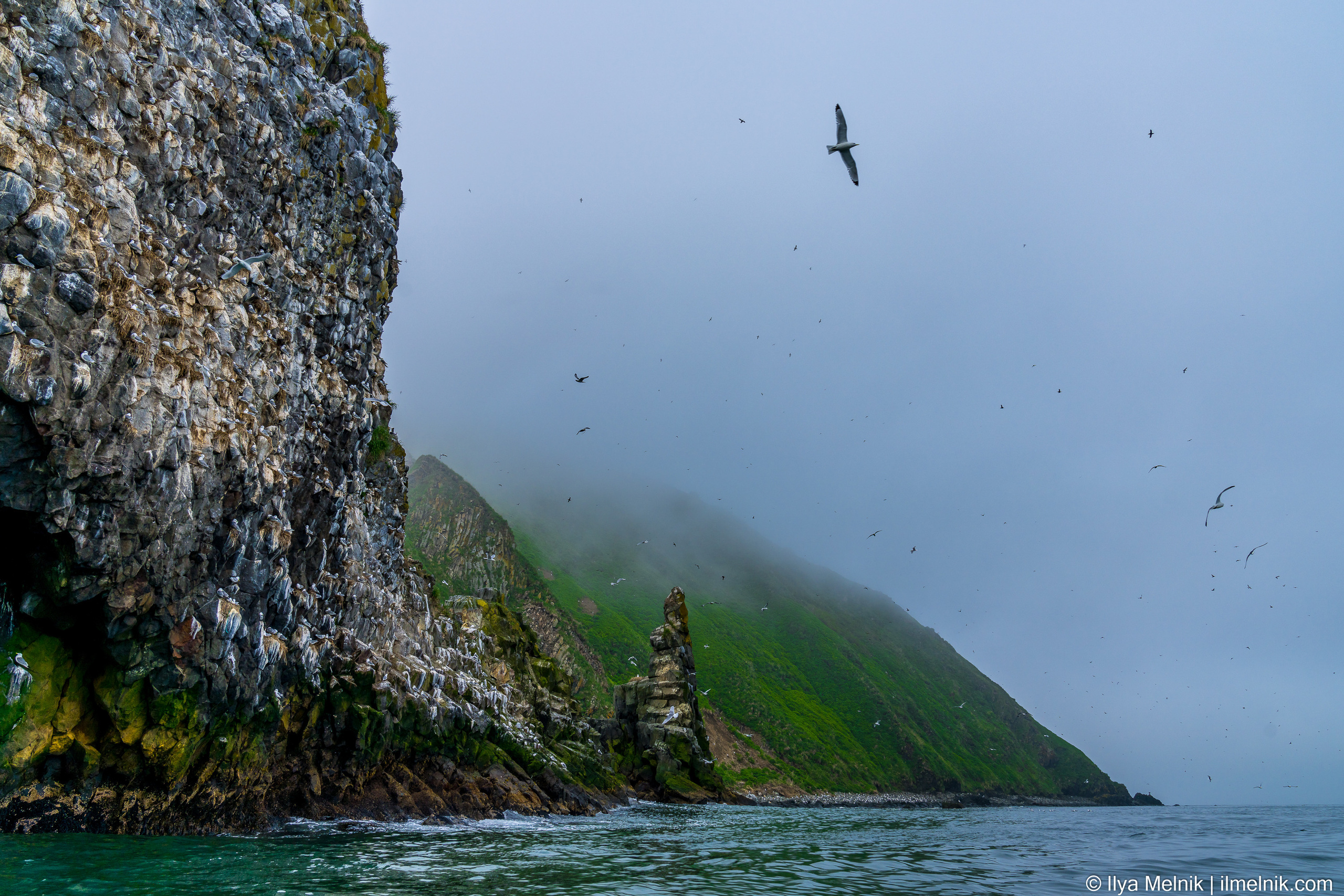 Russia (Kamchatka). Ilya Melnik Photography