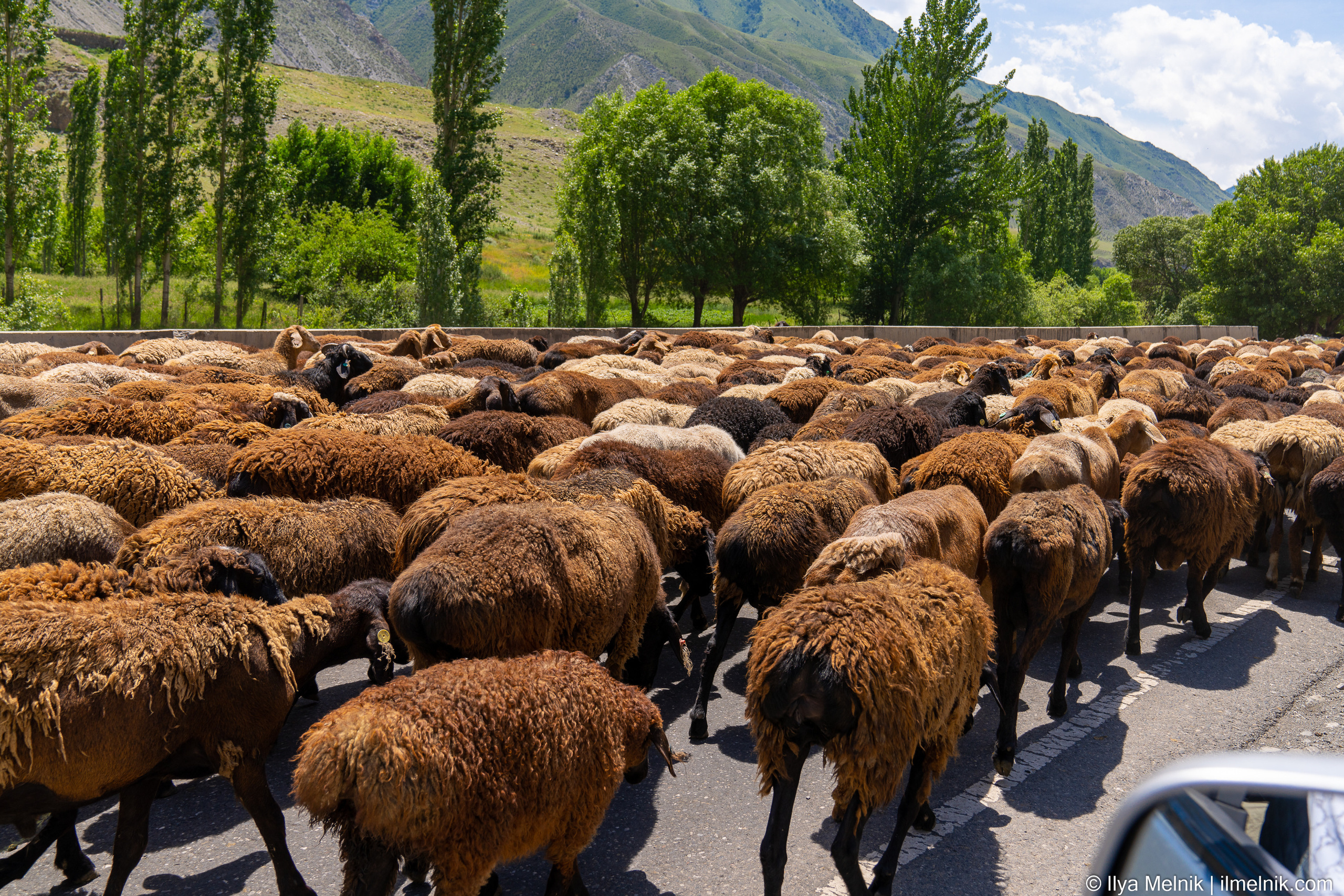 Kyrgyzstan. Ilya Melnik Photography