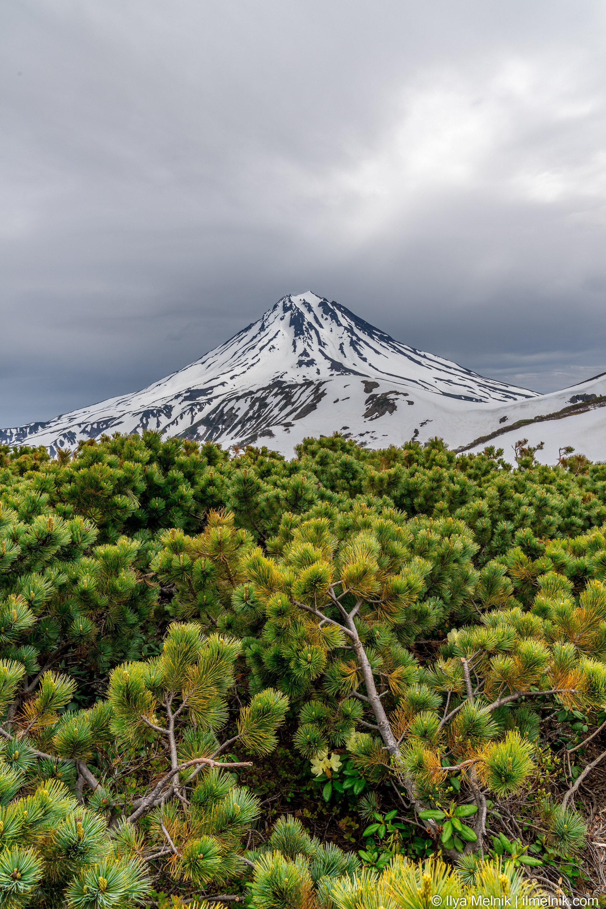 Russia (Kamchatka). Ilya Melnik Photography