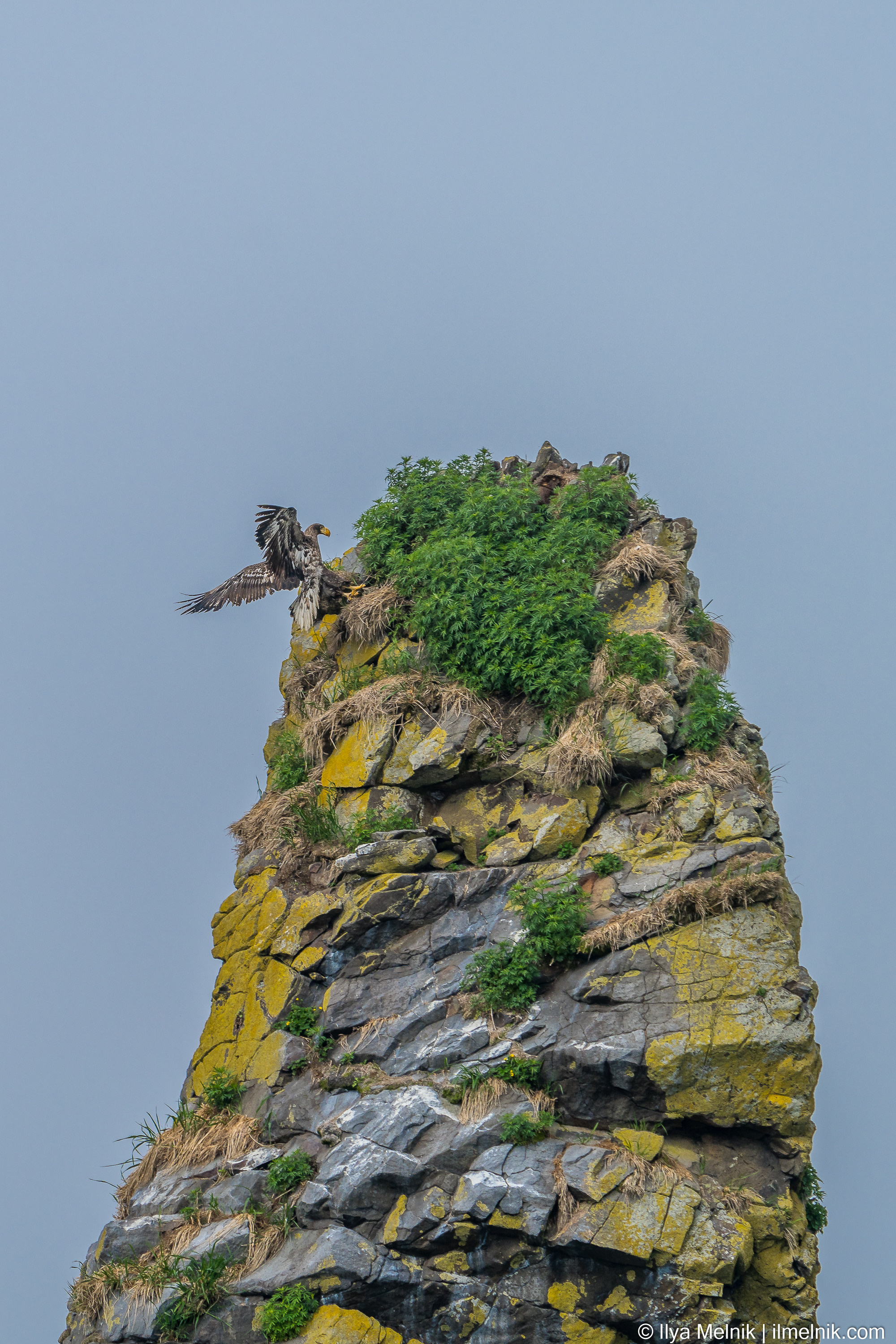 Russia (Kamchatka). Ilya Melnik Photography