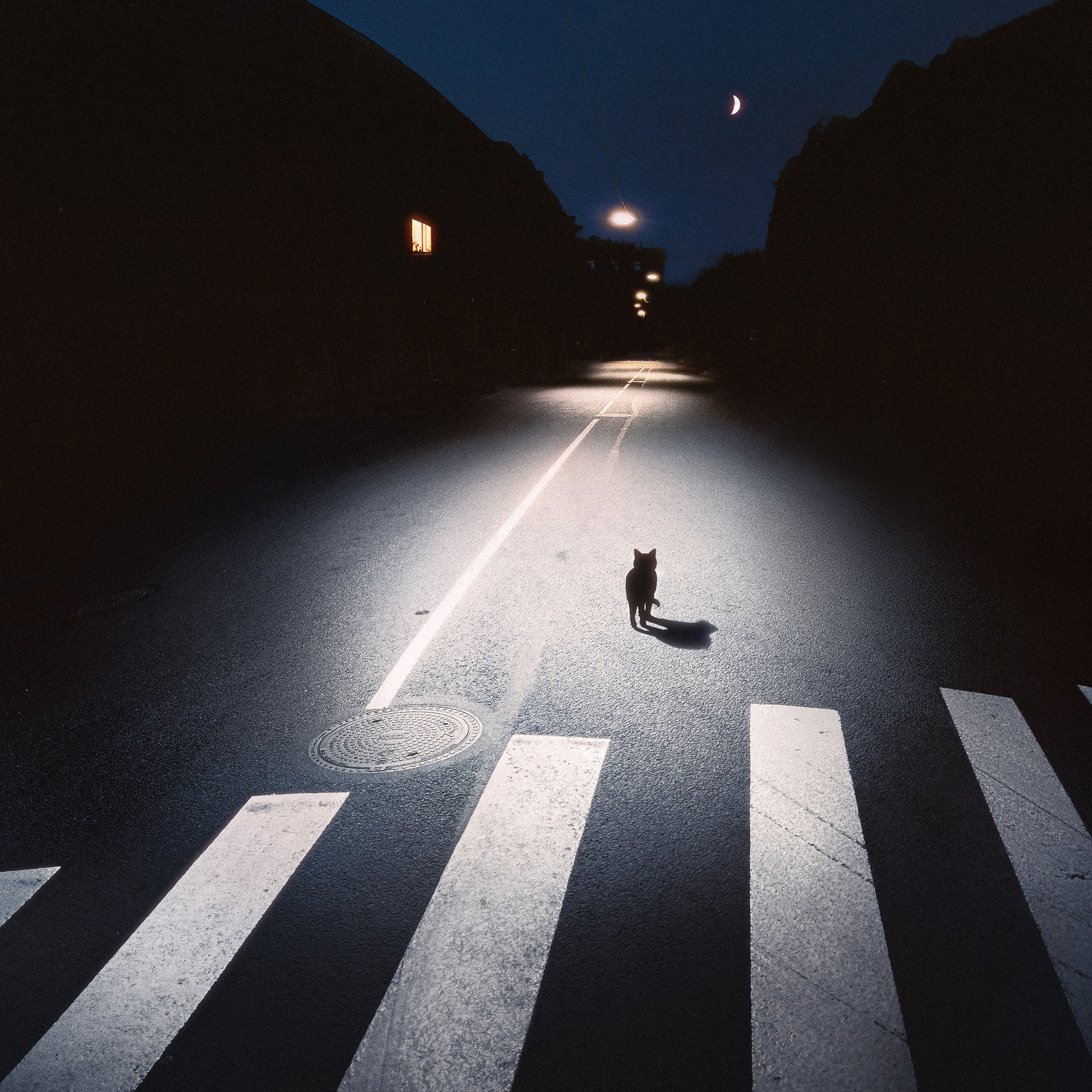 Внутренний свет — фотопроект. Сафонов Владислав, фотохудожник