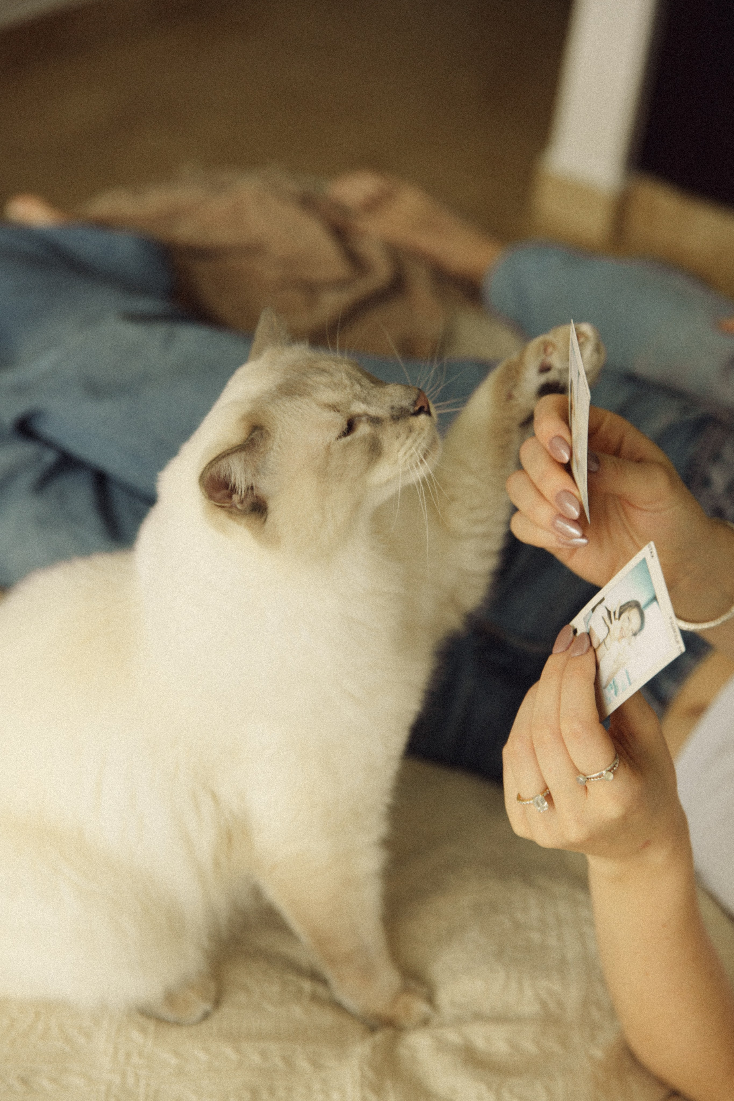 Briana+Fran. Портретный фотограф / Панама / Анастасия Елизарова