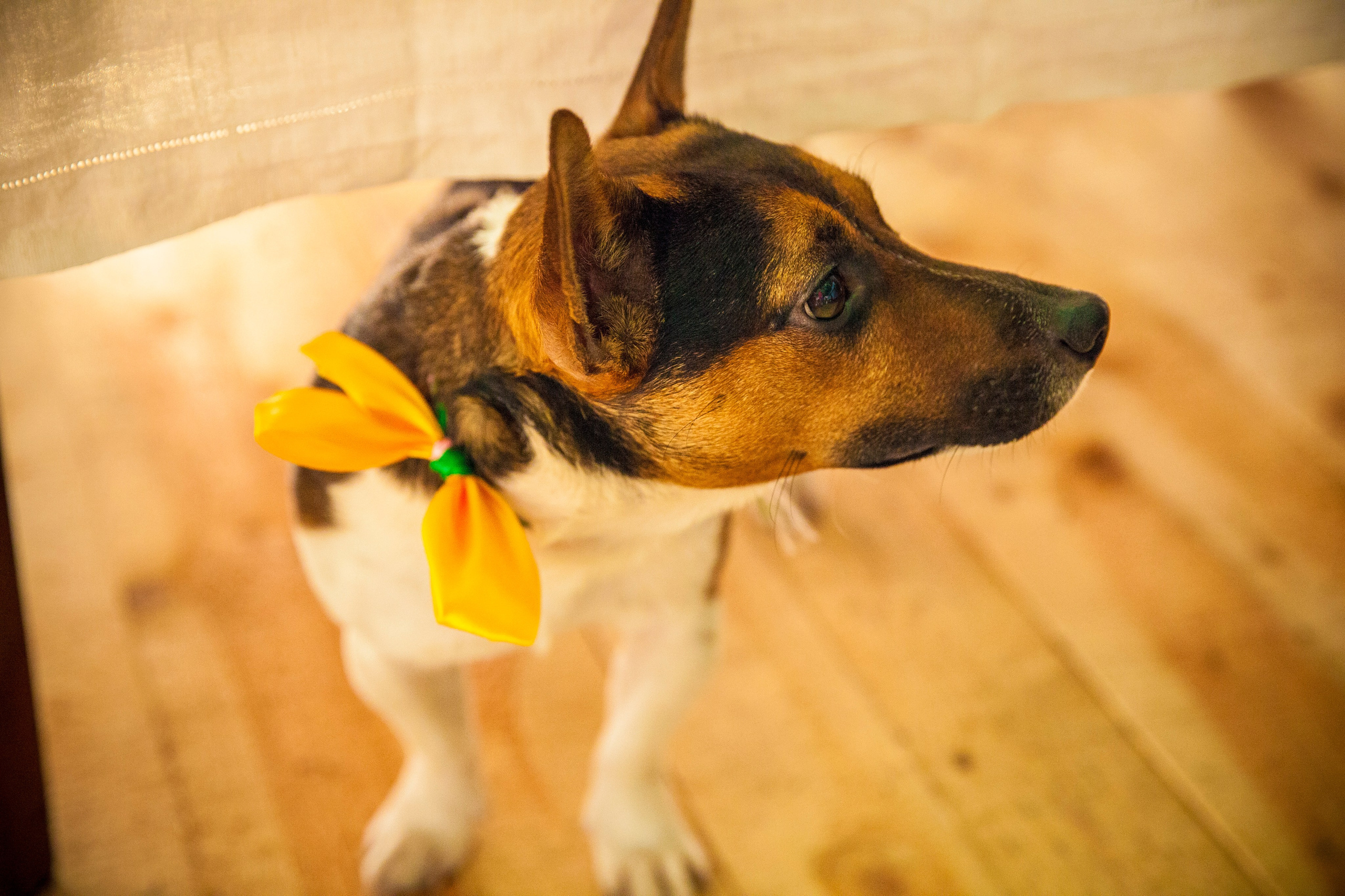 Саша и Женя. Фотограф Александра Степанова