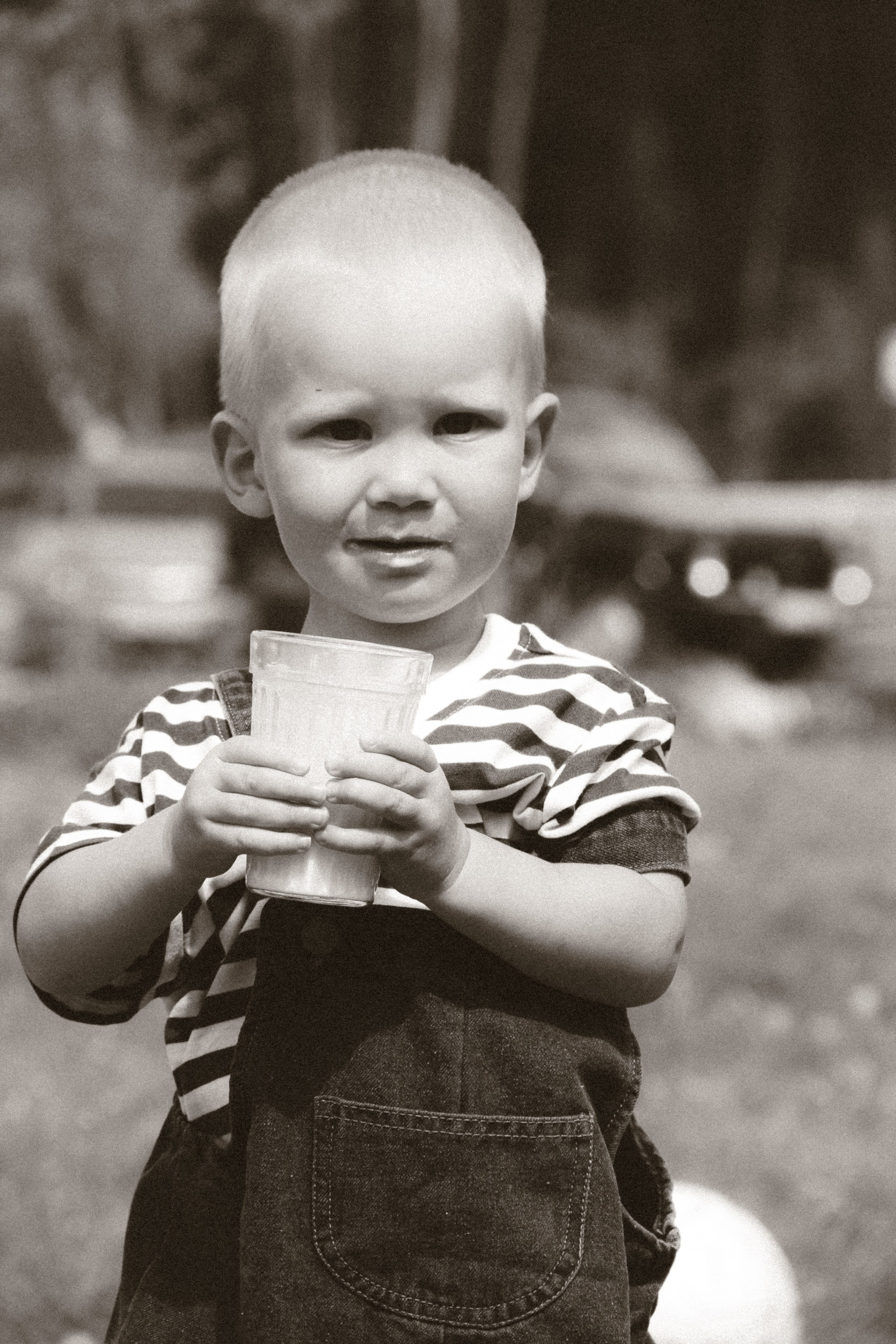 Farm photos. Главная
