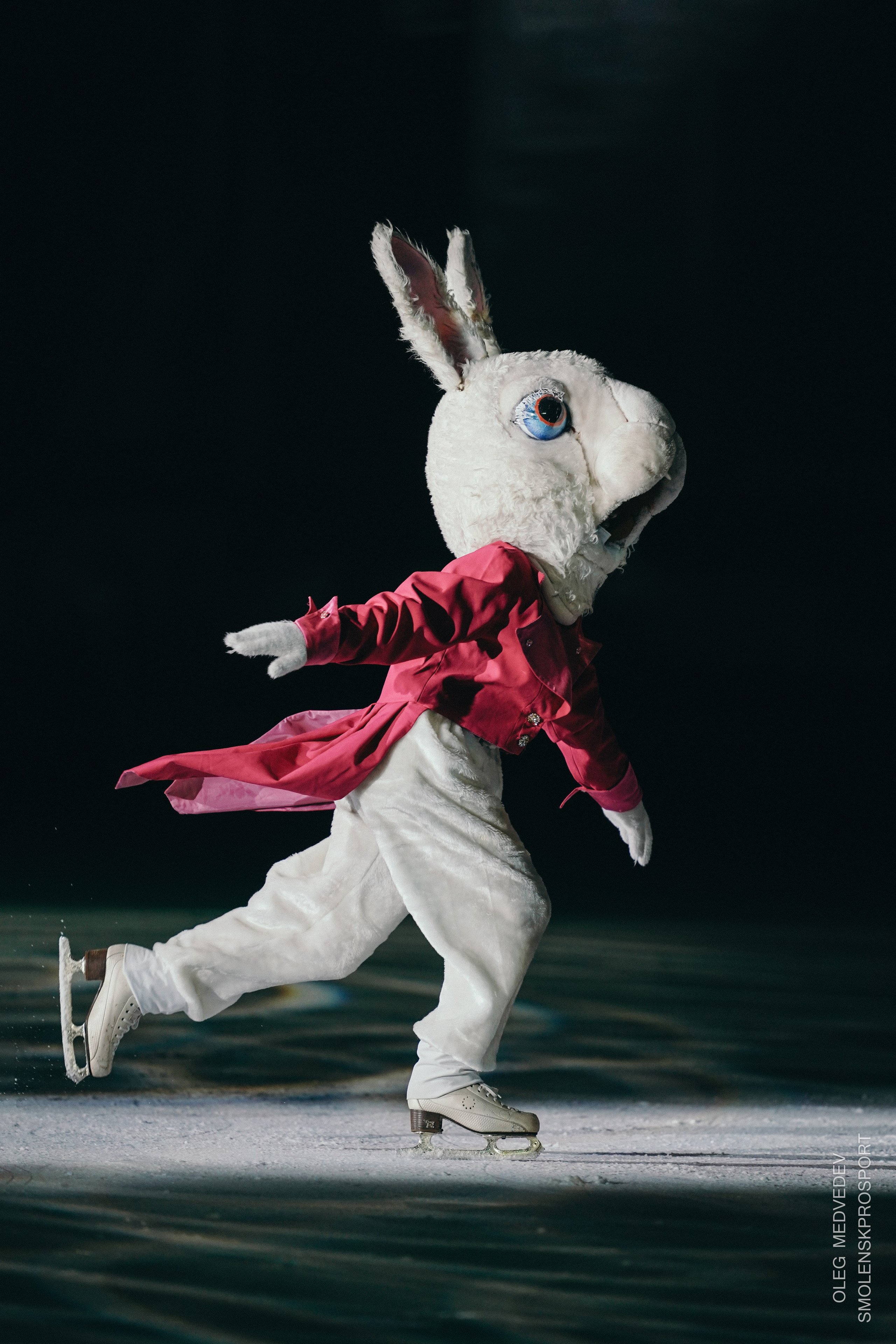 Алиса в стране чудес шоу на льду. Спортивный фотограф Олег Медведев | prosport67 | Смоленск