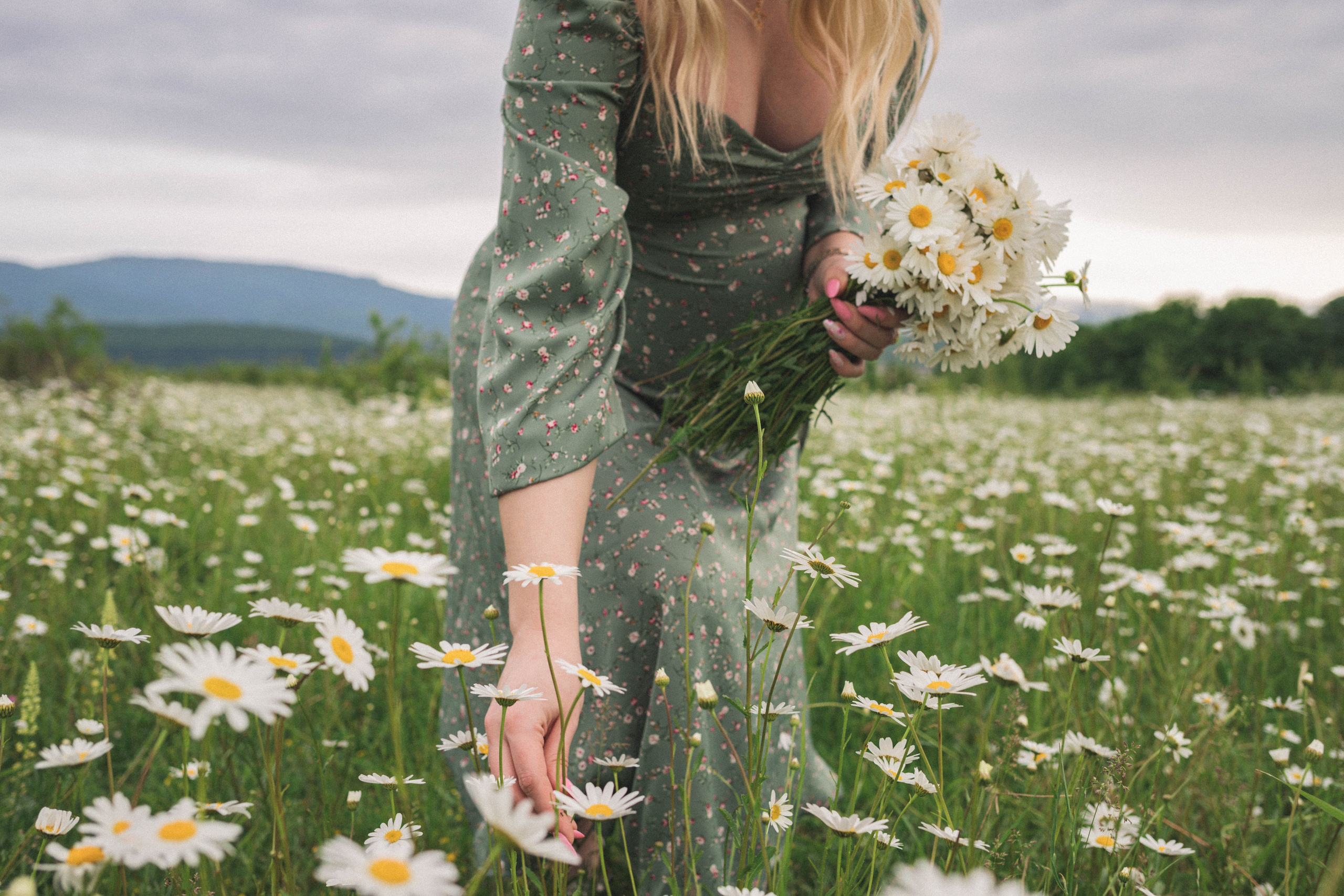 РОМАШКИ. Фотограф Немазенко Ольга