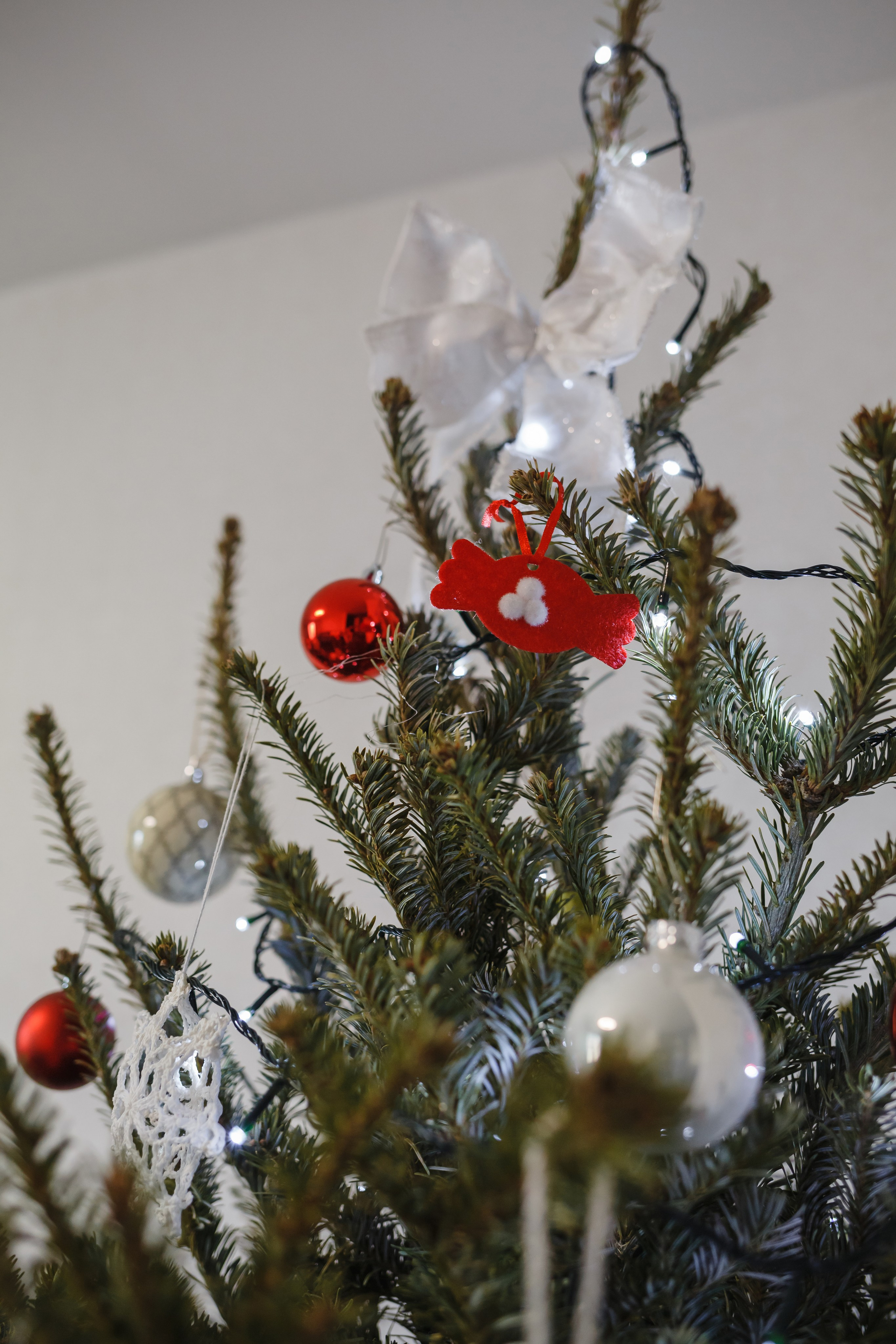 Карина и ее семья. Семейный фотограф Николаева Ольга