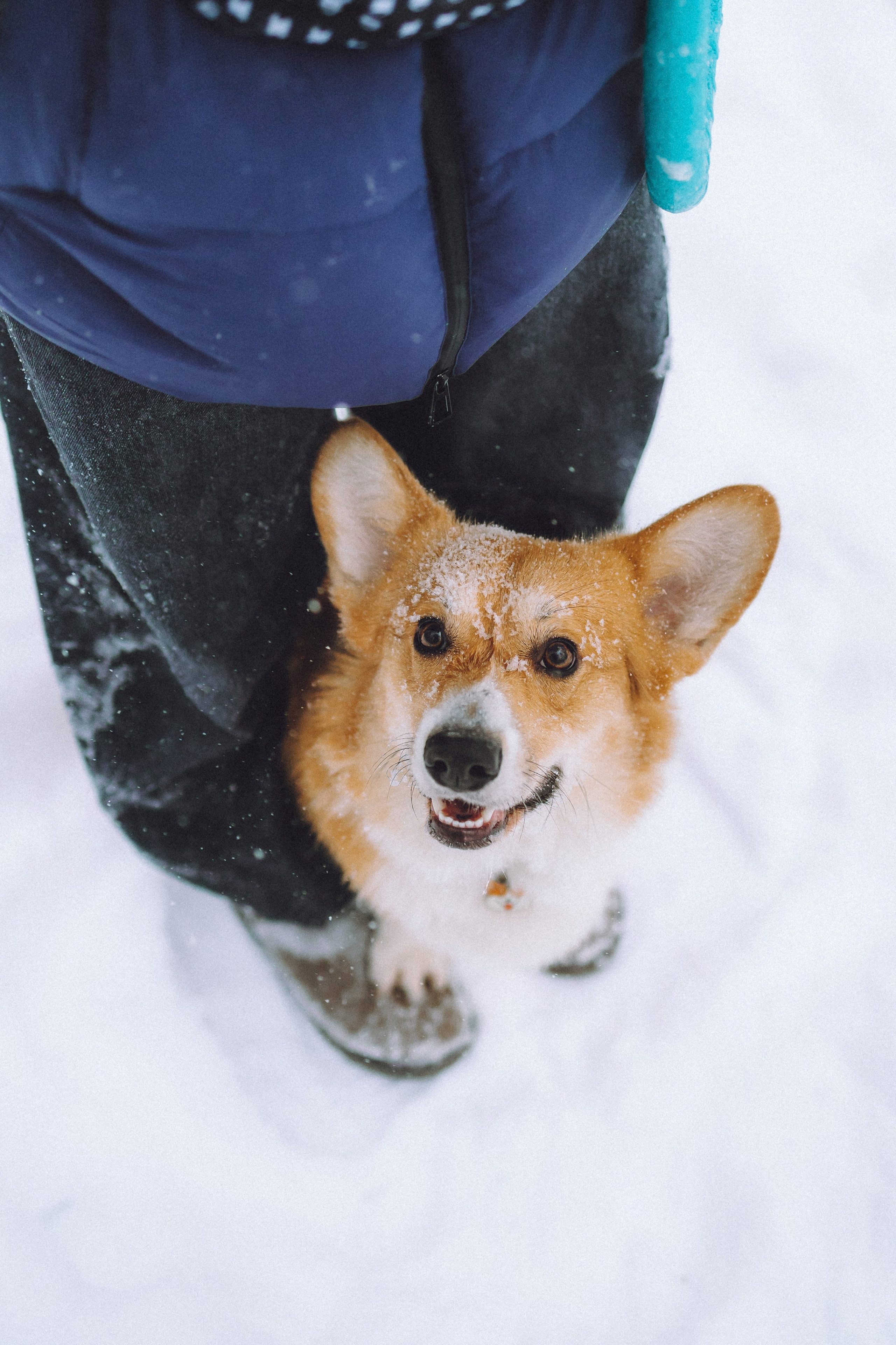 Юля и Юпитер