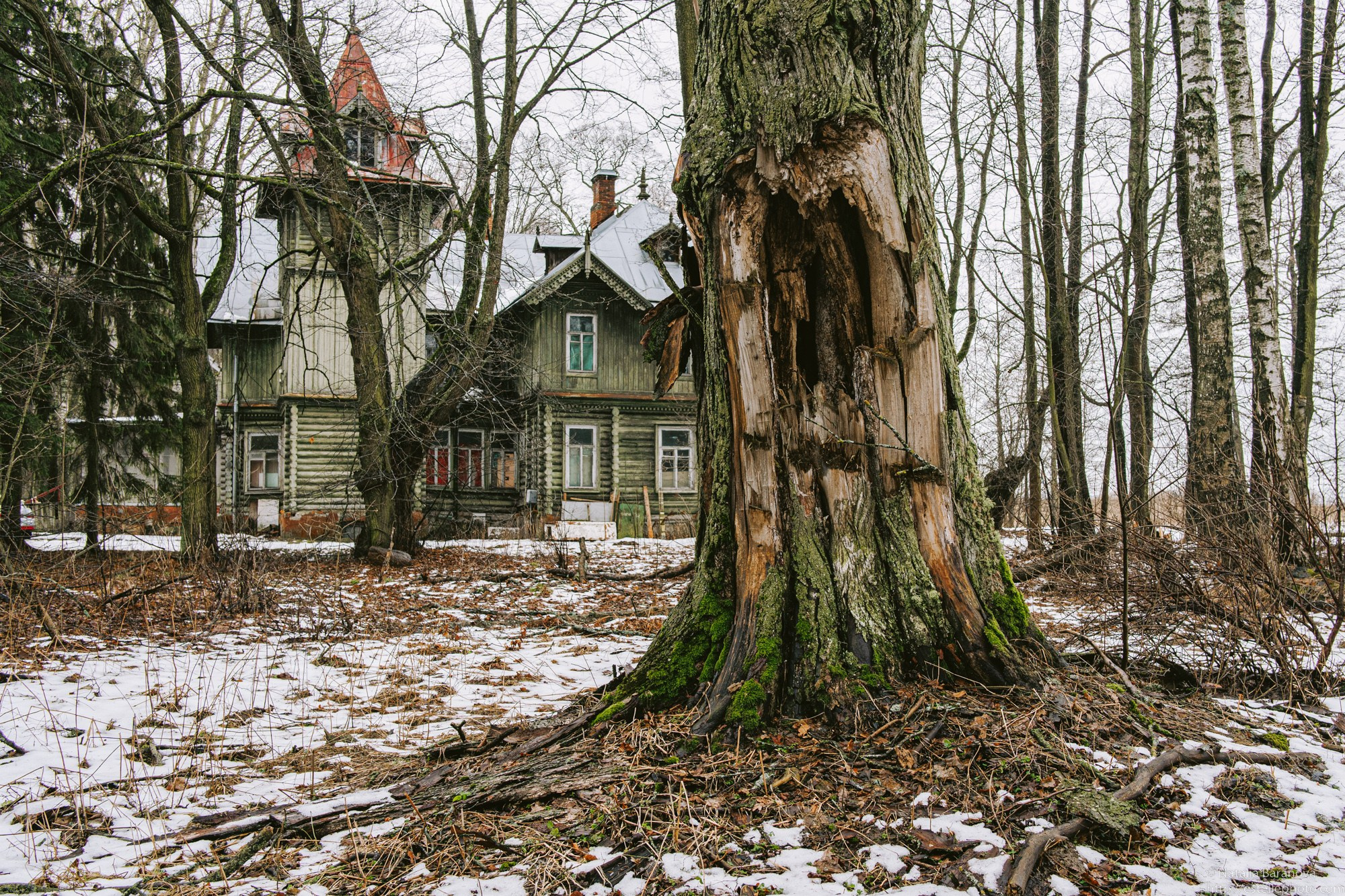Координаты истории: русские усадьбы. Наталия Баранова — профессиональный фотограф в СПб и Москве