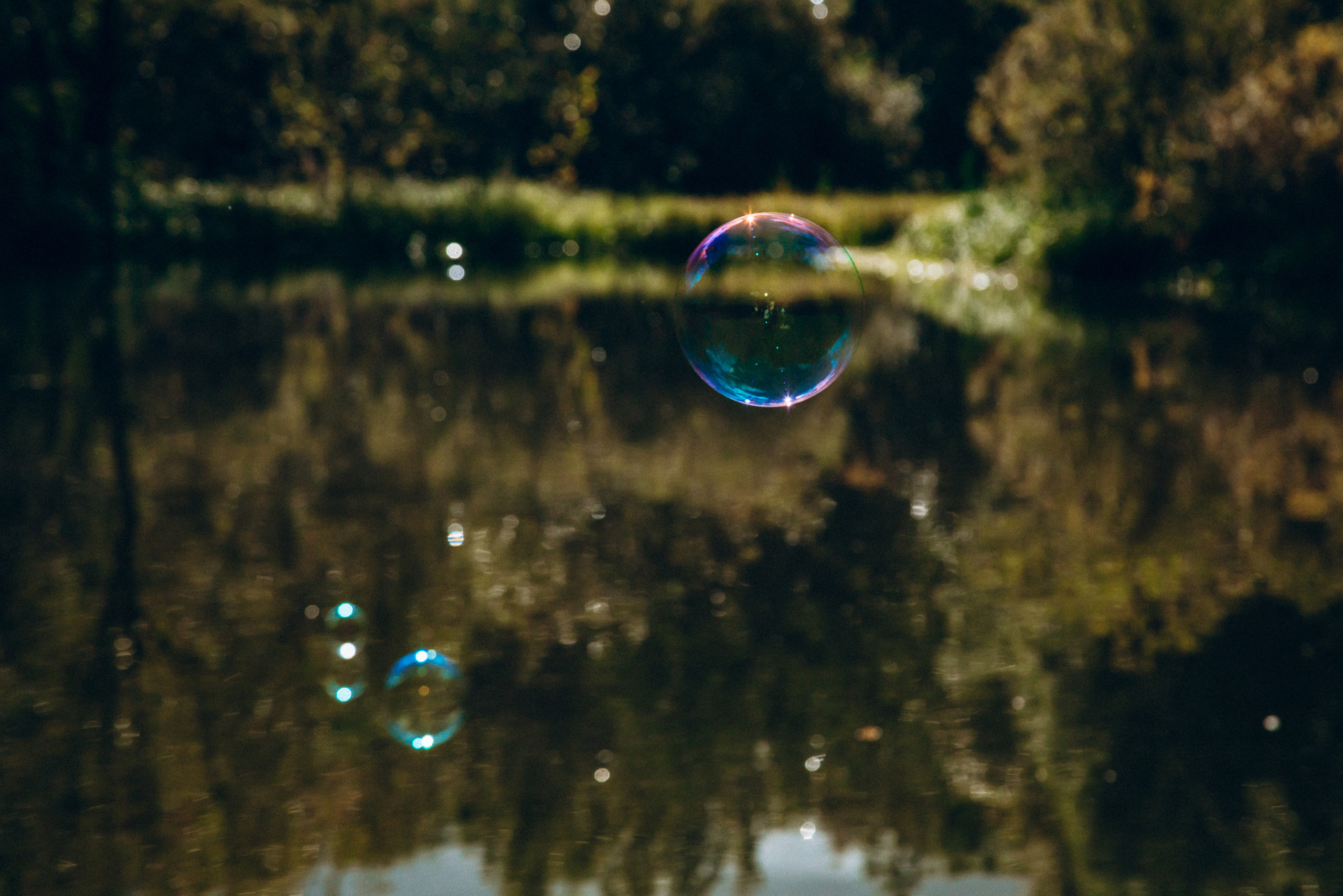 Семейная прогулка. FOTOZ Studio / Фотовидеомейкер Андрей Смирнов