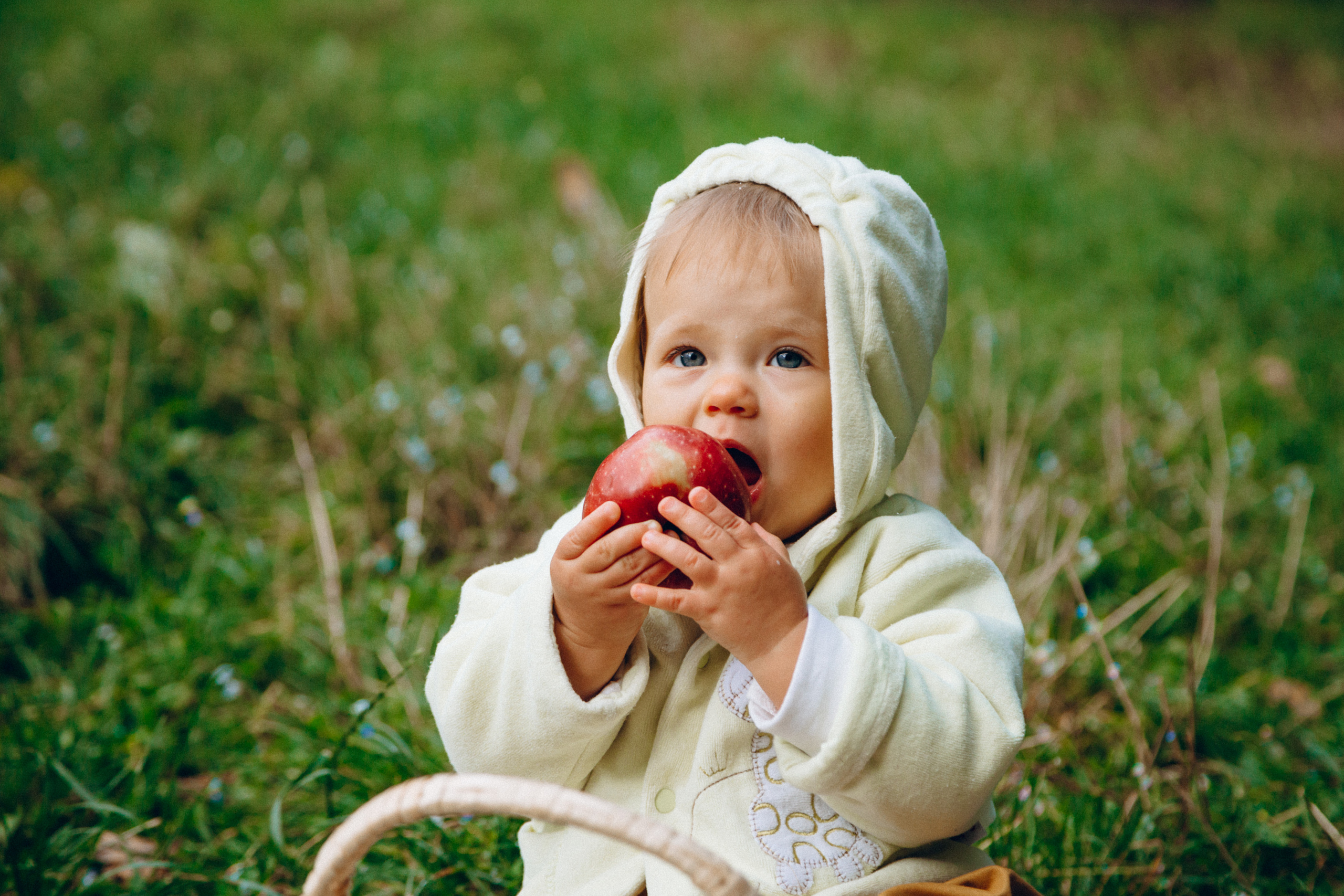 Семейная прогулка. FOTOZ Studio / Фотовидеомейкер Андрей Смирнов