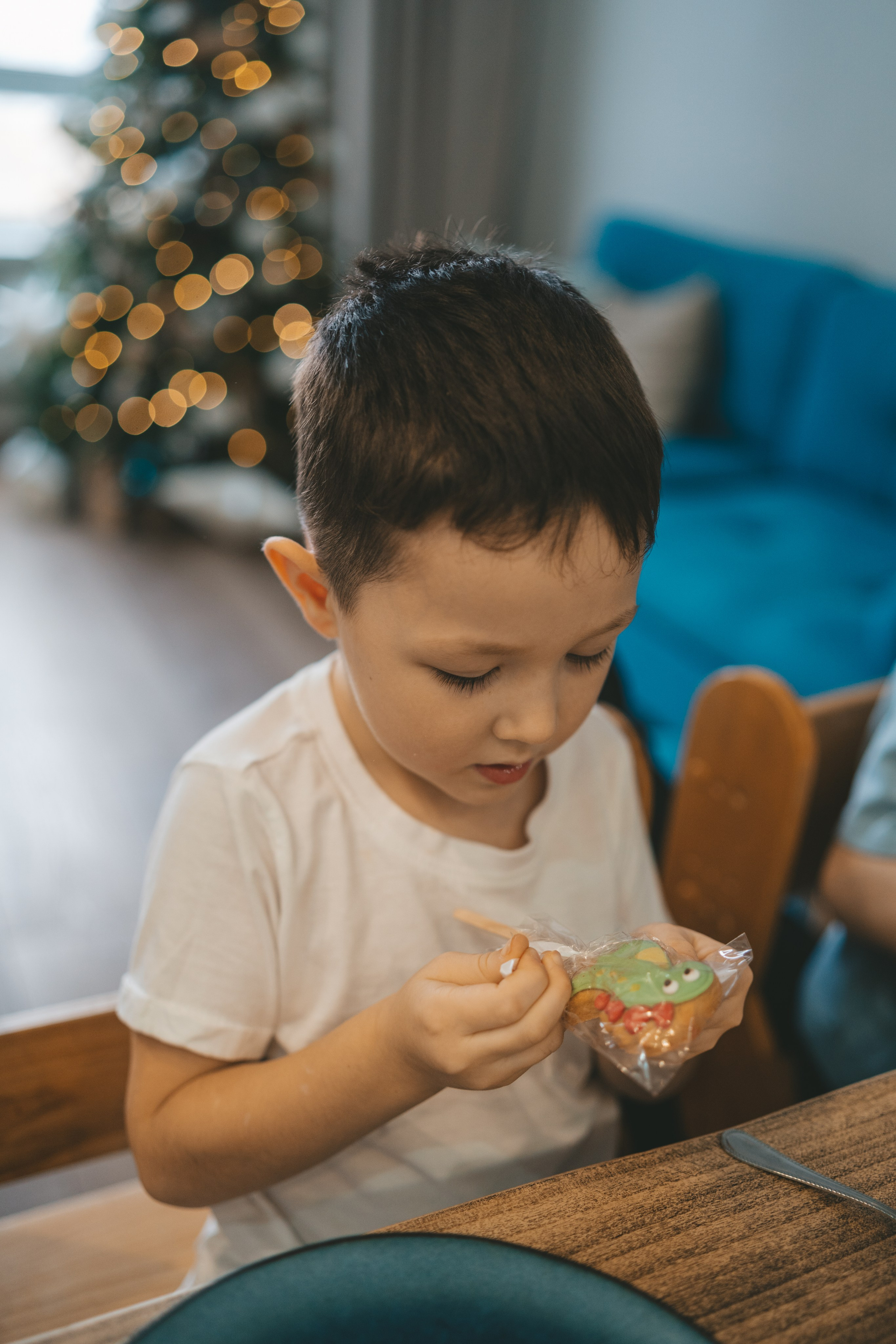 Новогодняя семейная съемка с двумя детьми. Фотограф Екатерина Канчалаба