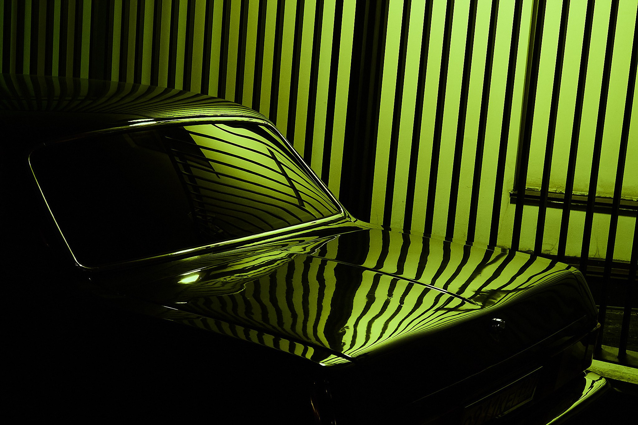 Reflections In Motion