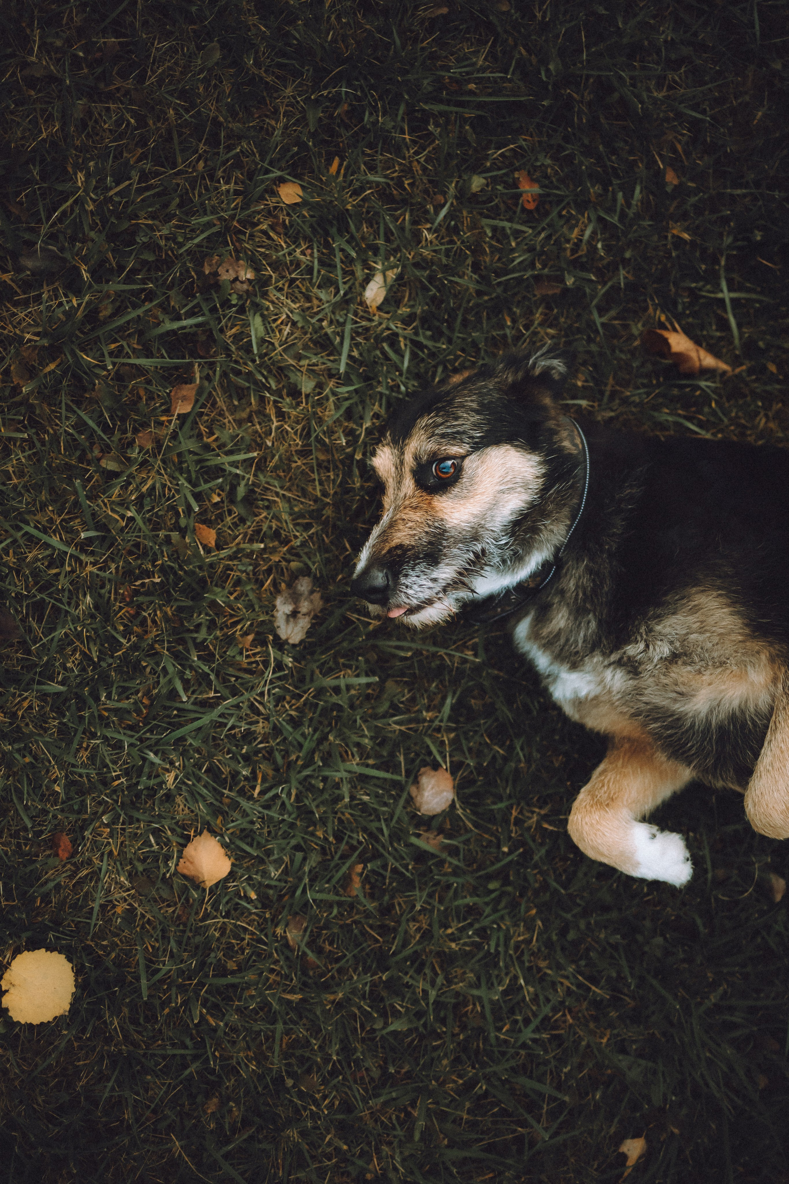 Рик, Джек и их семья