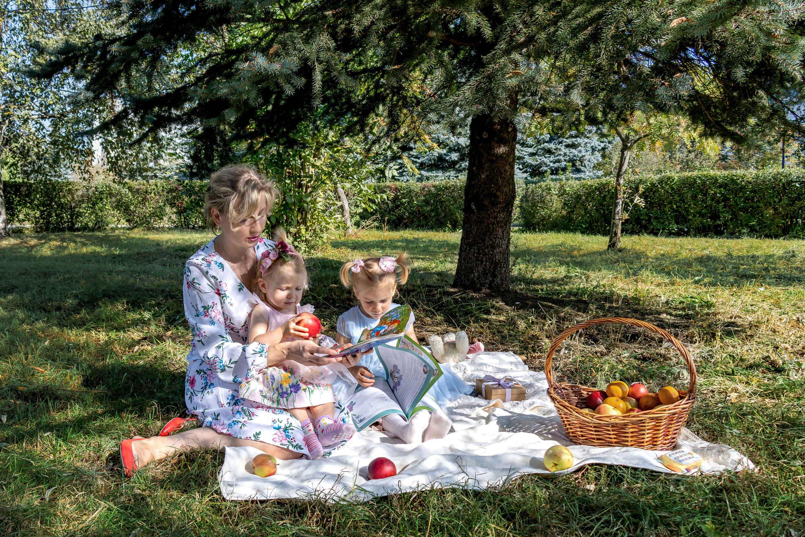 Пикник летним днём. Главная