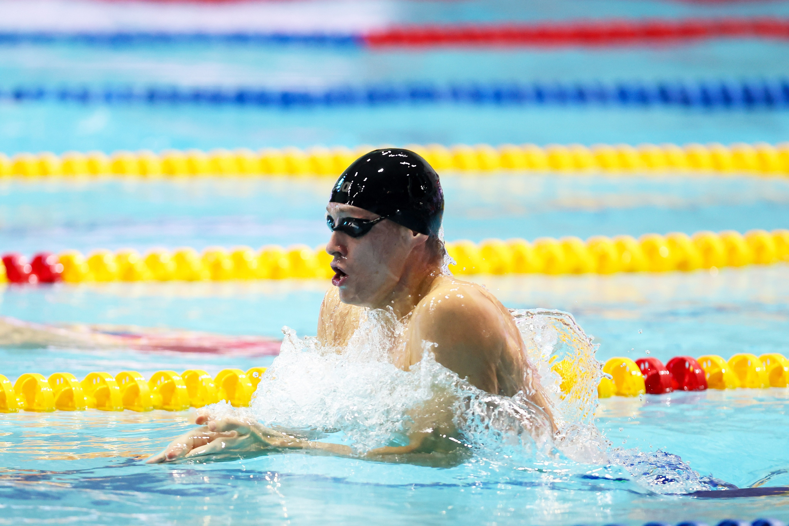 Чемпионат России по плаванию 25 м 20-25.11.2023. Спортивный и репортажный фотограф Антон Тереханов