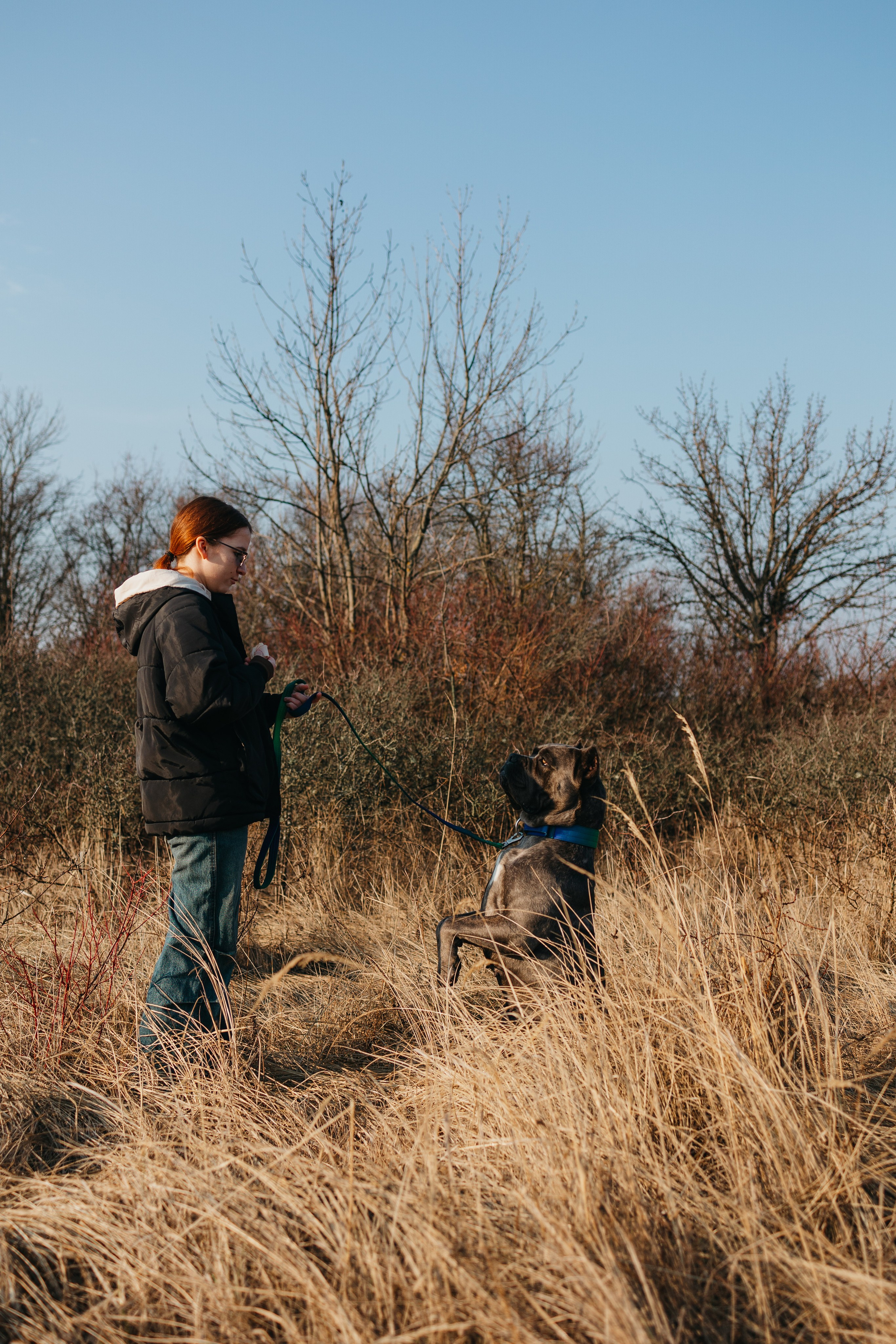 Лера, Ума и Винни. Фотограф — анималист Светлана Кысса|фотограф собак в Краснодаре и Нижнем Новгороде
