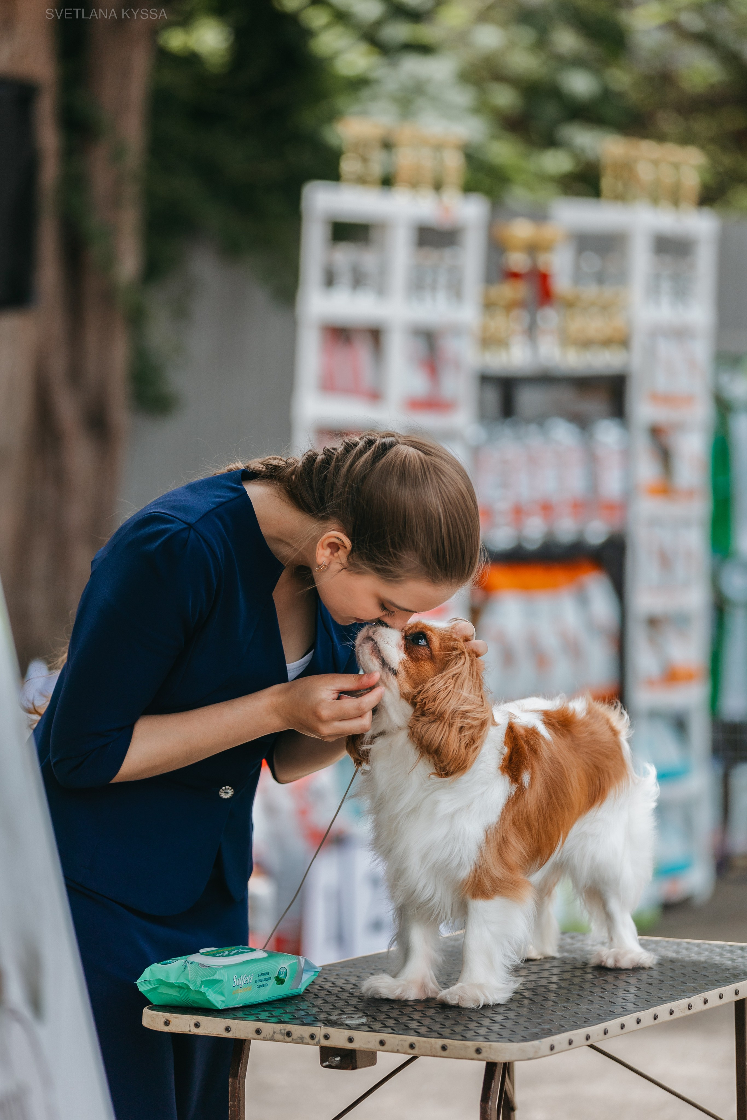 Фото с выставки собак. Фотограф — анималист Светлана Кысса|фотограф собак в Краснодаре и Нижнем Новгороде
