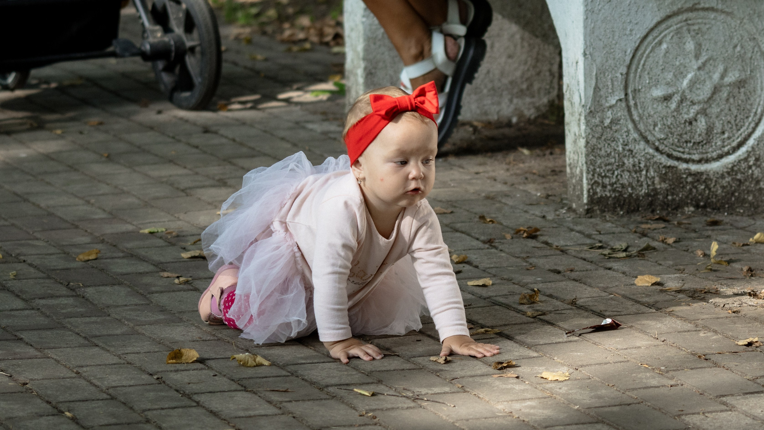 Спонтанный фотосет в парке. Свадебный и семейный фотограф в г. Волхов Алексей Кочерыжкин