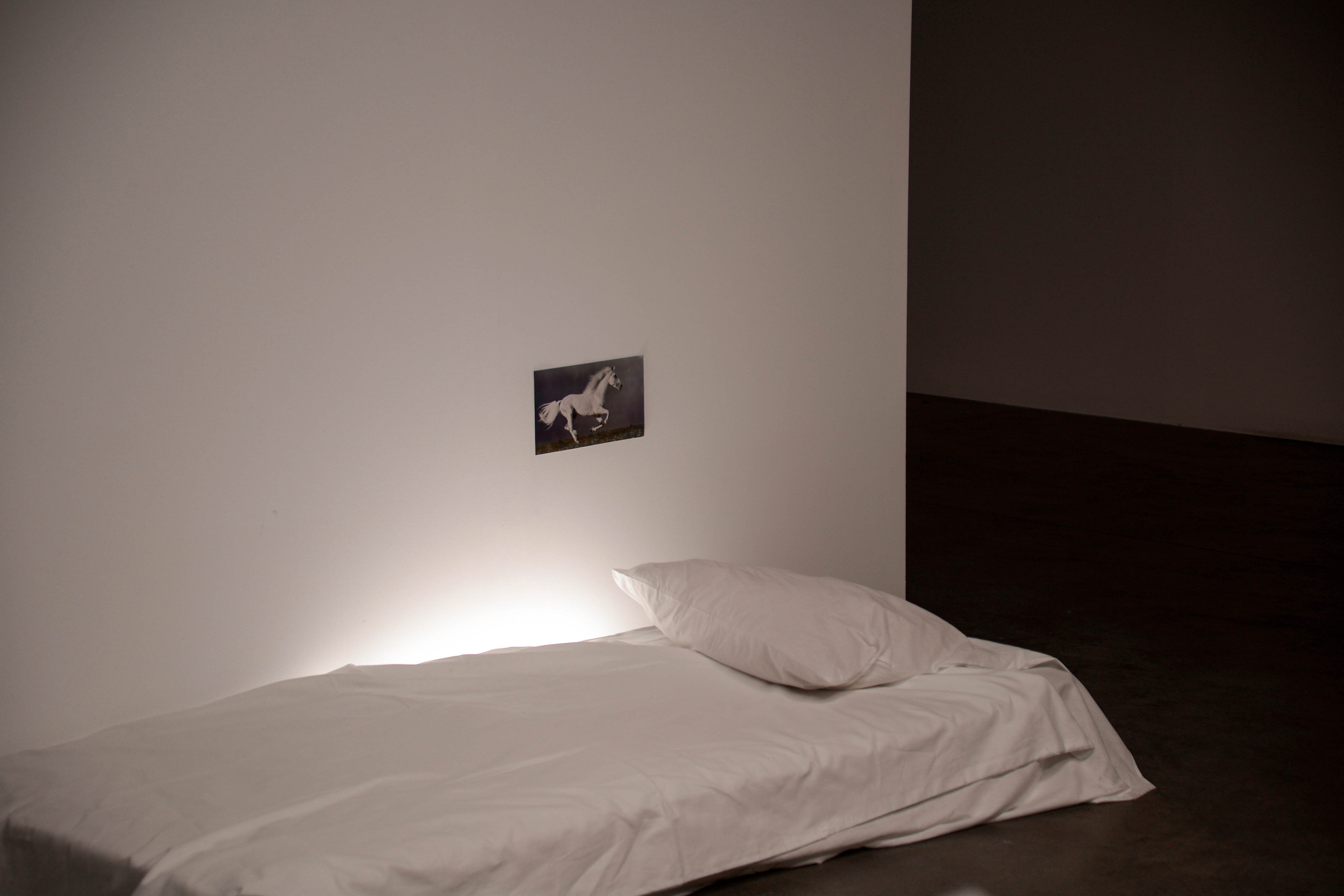 Report photographer Tbilisi. Lika Gomiashvili photography Georgia Tbilisi