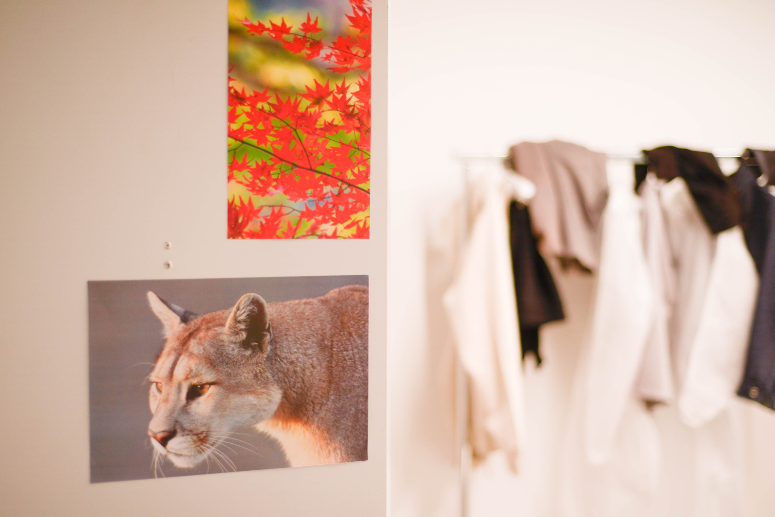 Report photographer Tbilisi. Lika Gomiashvili photography Georgia Tbilisi