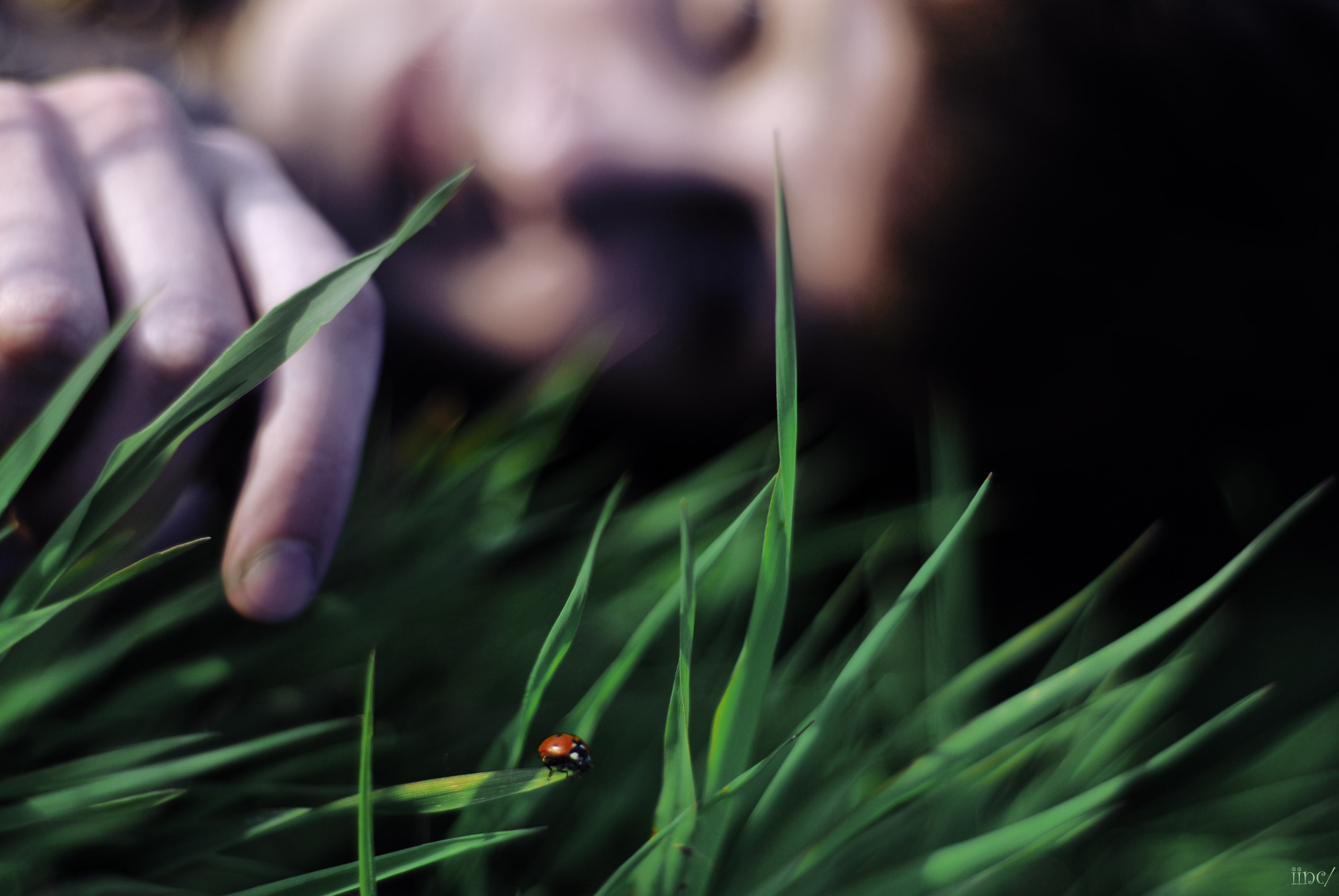 Art photography Georgia. Lika Gomiashvili photography Georgia Tbilisi