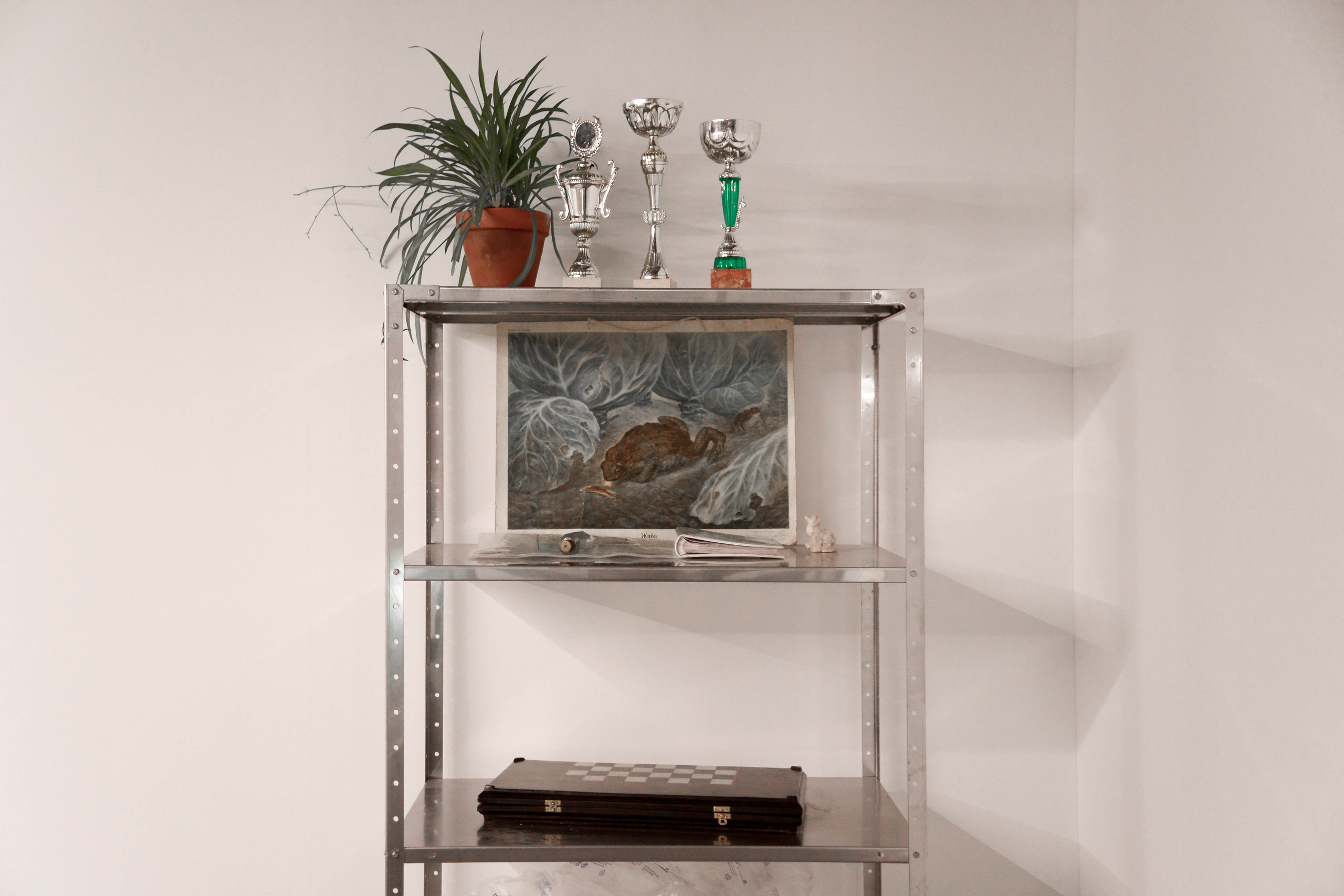 Report photographer Tbilisi. Lika Gomiashvili photography Georgia Tbilisi