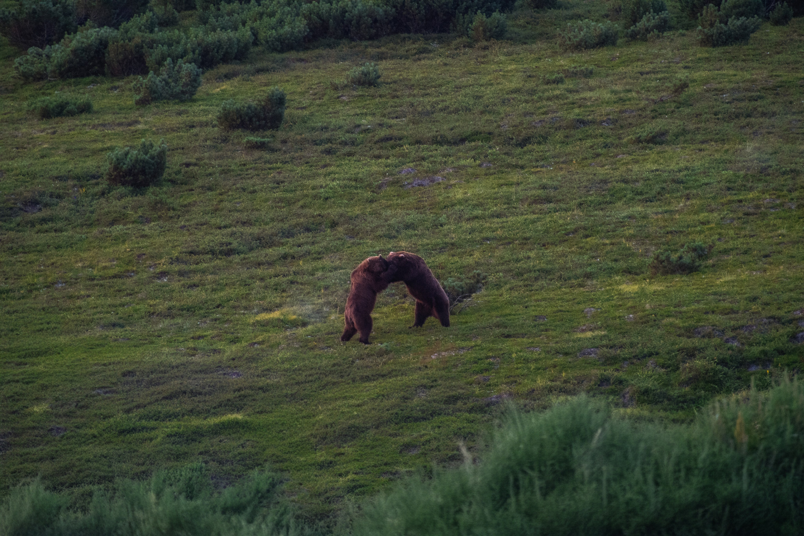 Камчатка. Фотограф в Санкт-Петербурге Вихтинский Николай