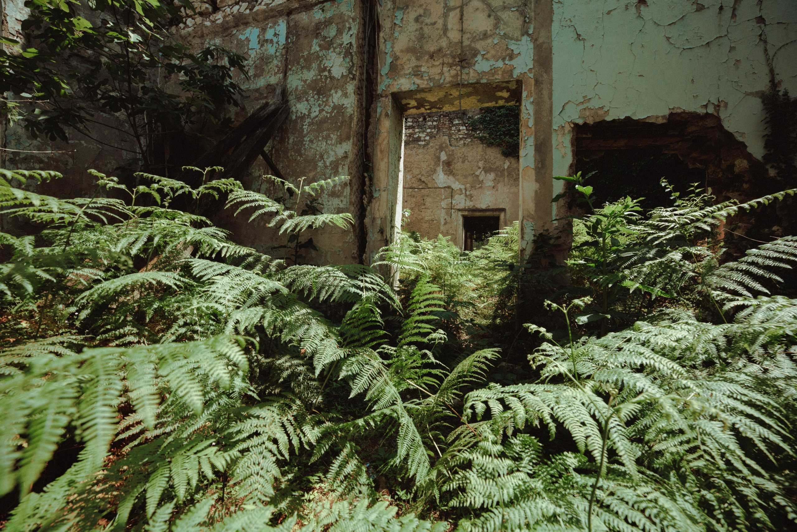 Urban. Артем Корнев Фотограф