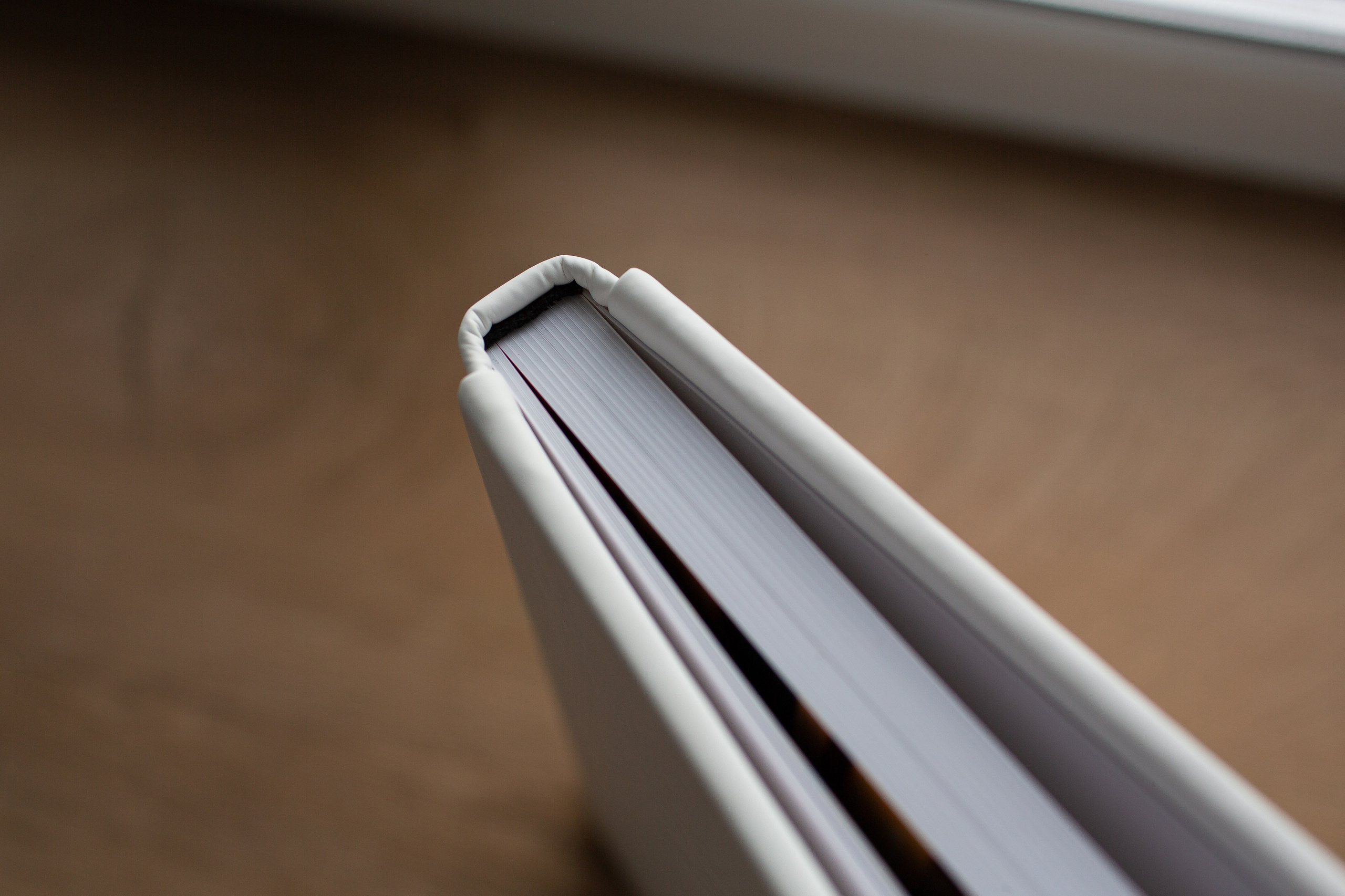 Кожаная обложка, пластина. Фотограф Евгения Мальцева, Архангельск