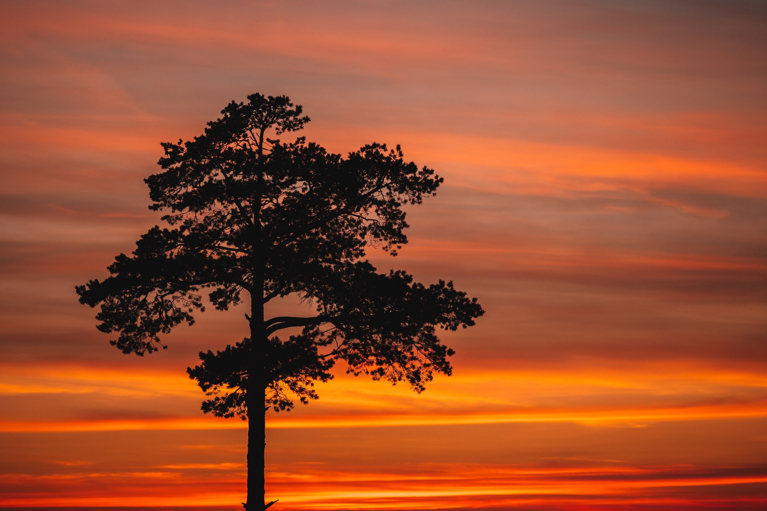 Творчество. Профессиональный фотограф Амир Закиров