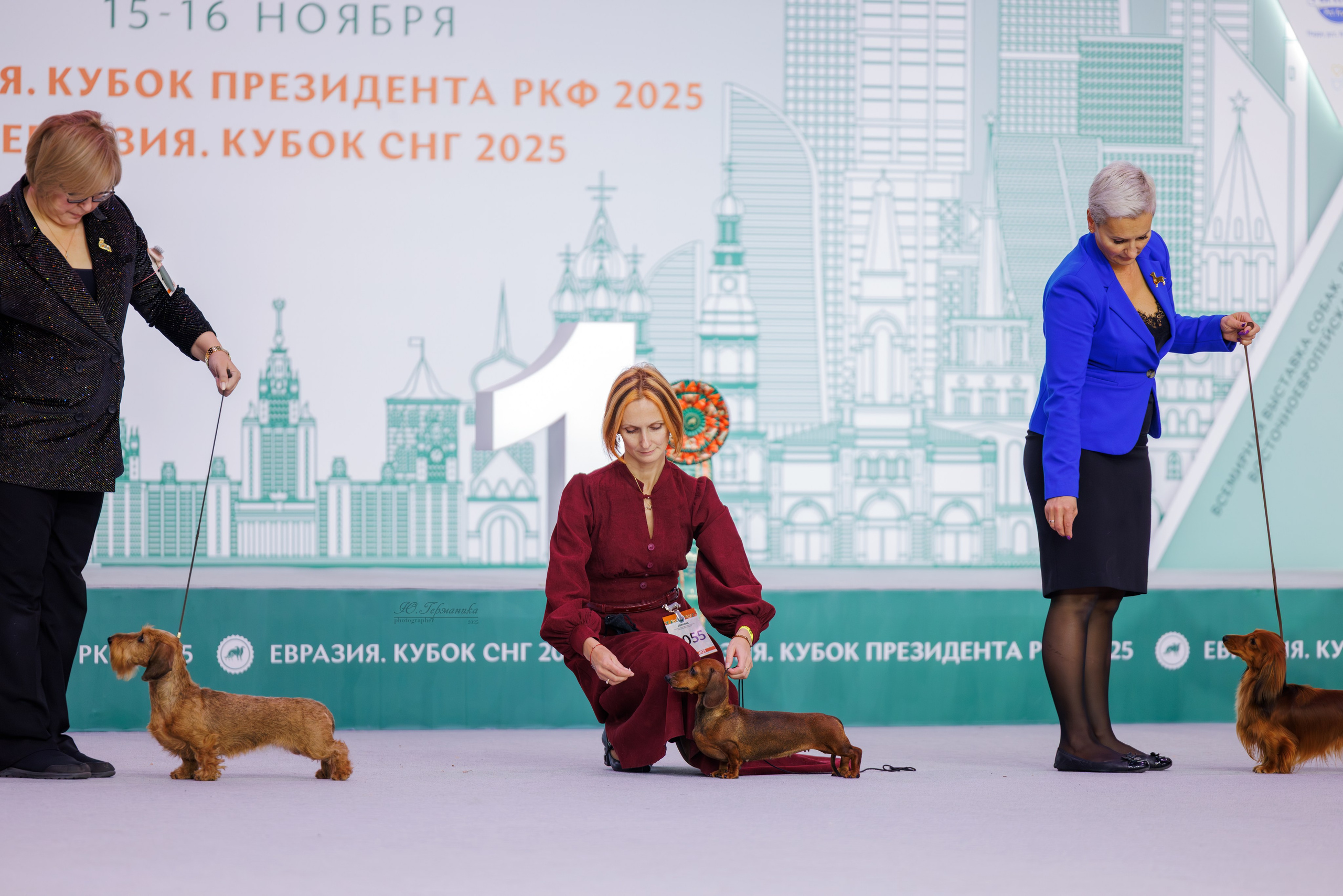 Евразия 15-16.11.2025. Фотограф-анималист Юлия Германика