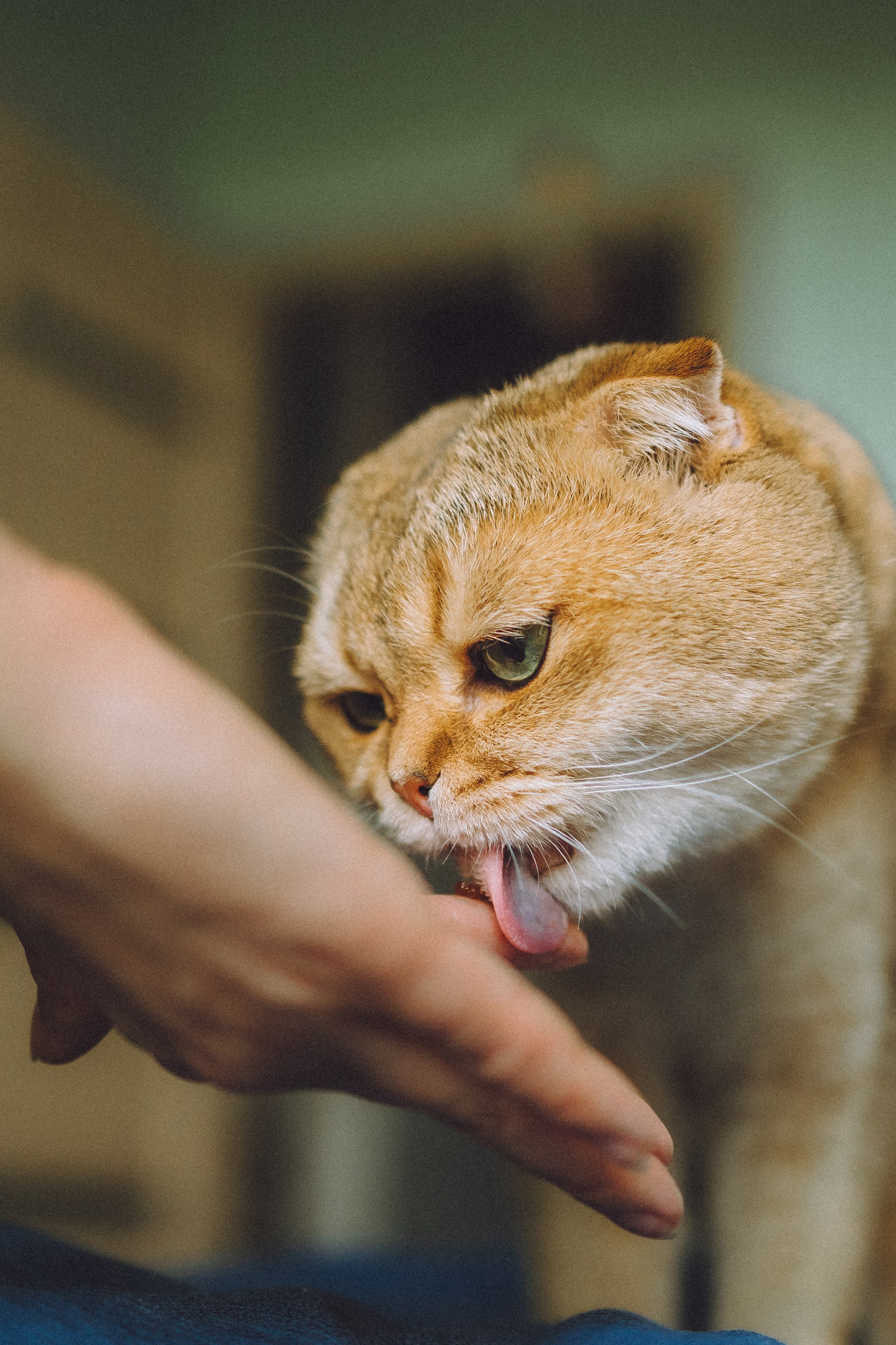 Генри и его семья