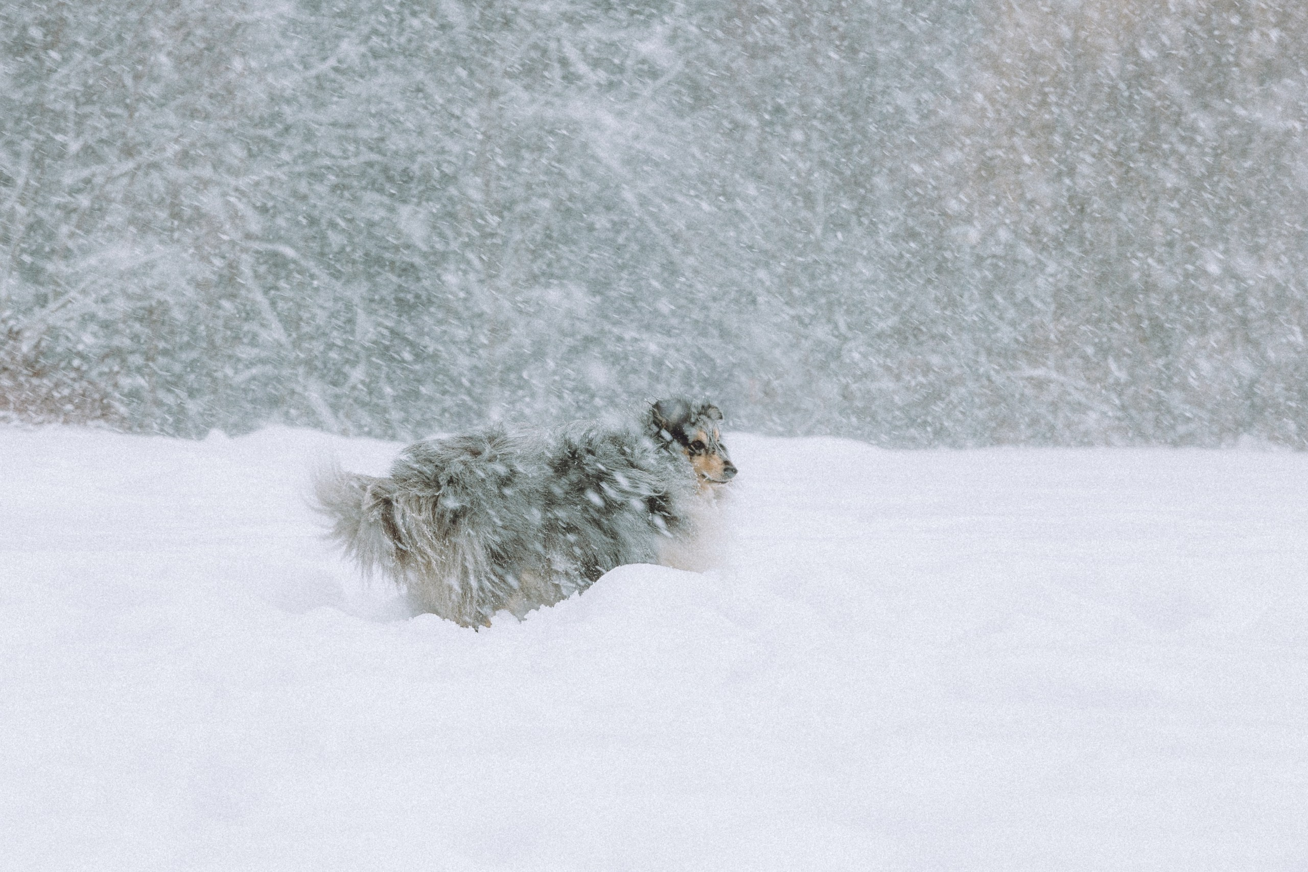 Как фотографировать зимой и сохранить технику?