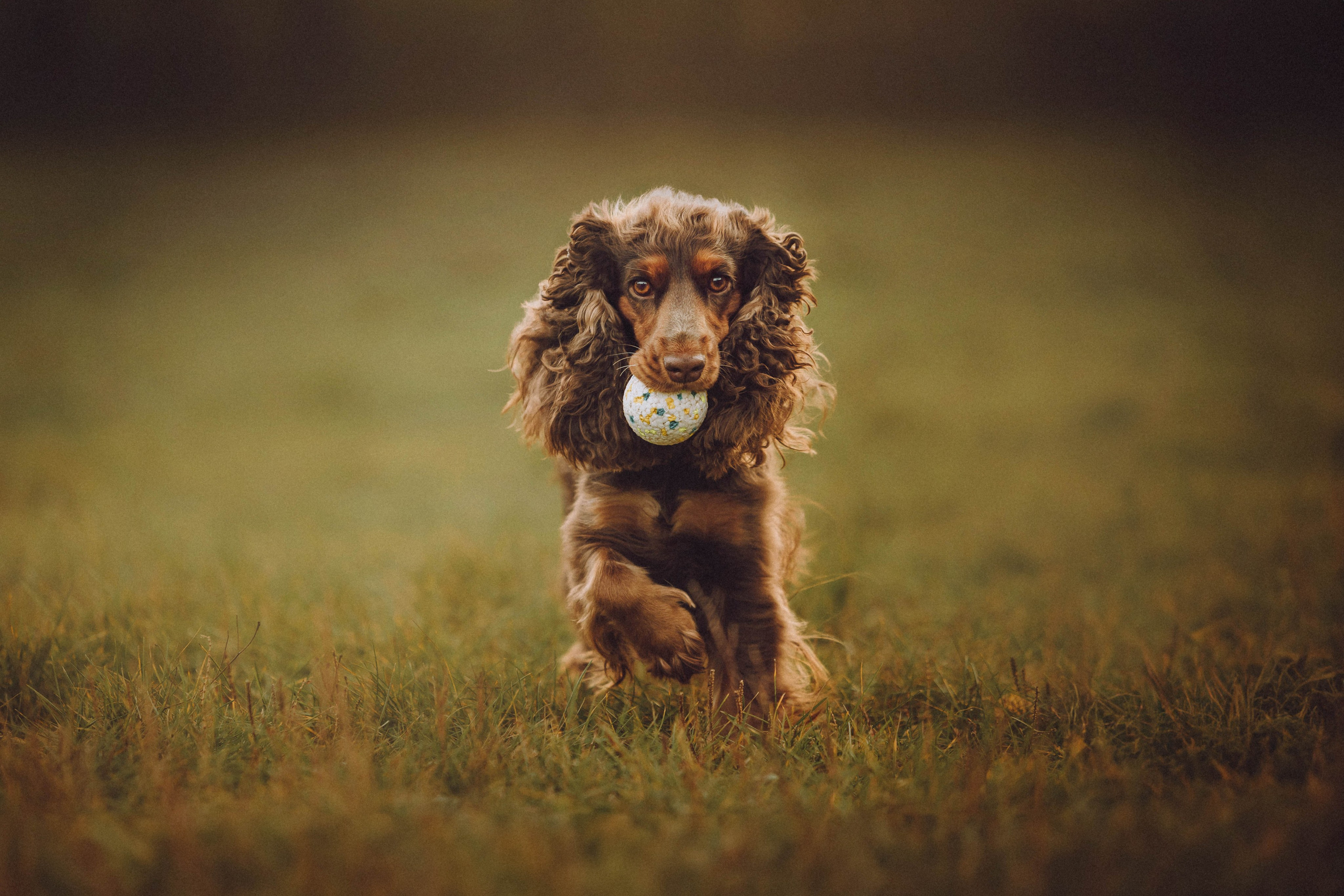 Настя, Саша и Эстер