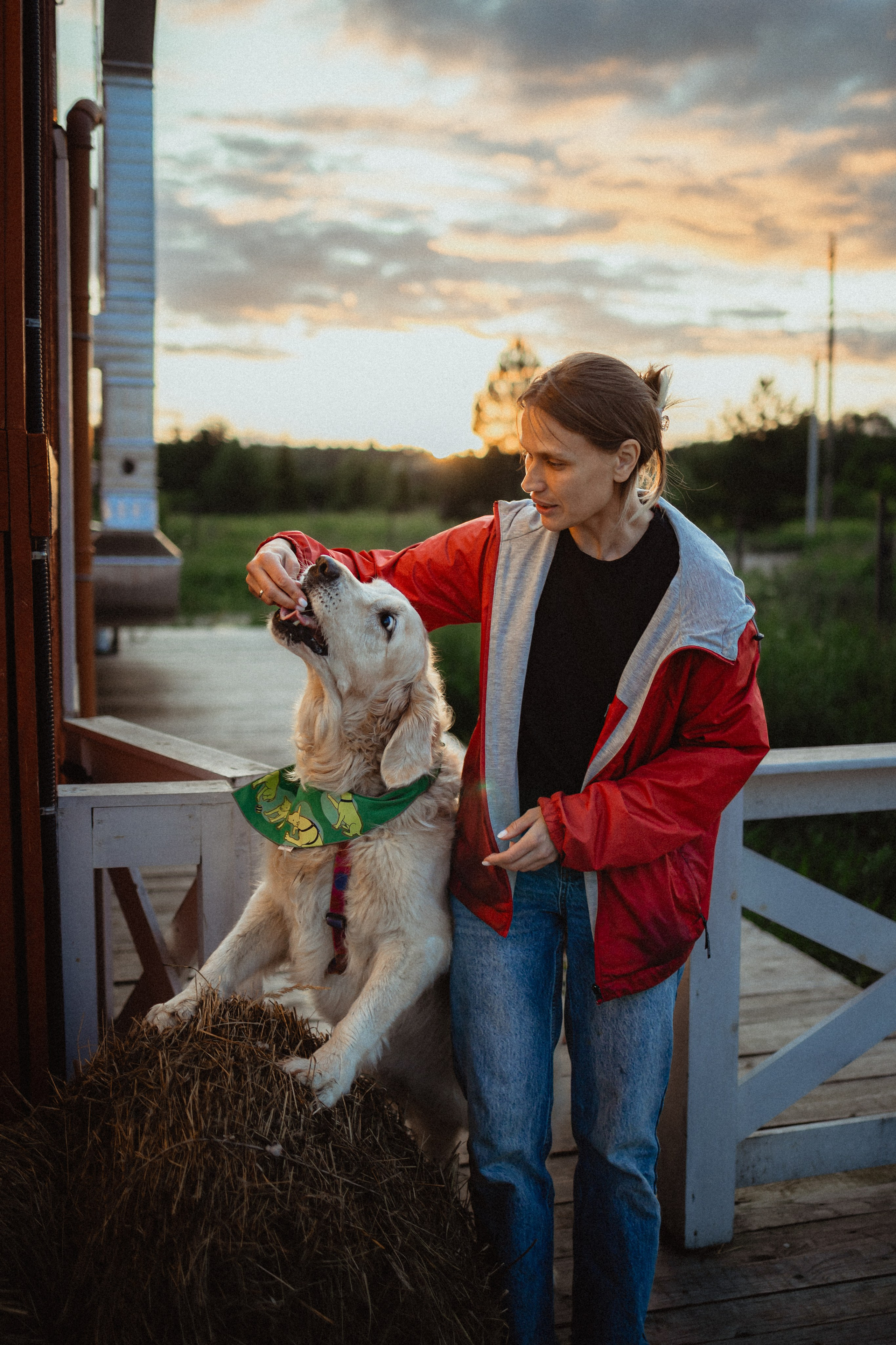 Выездной дог-тренинг от школы «Шерсть имею»