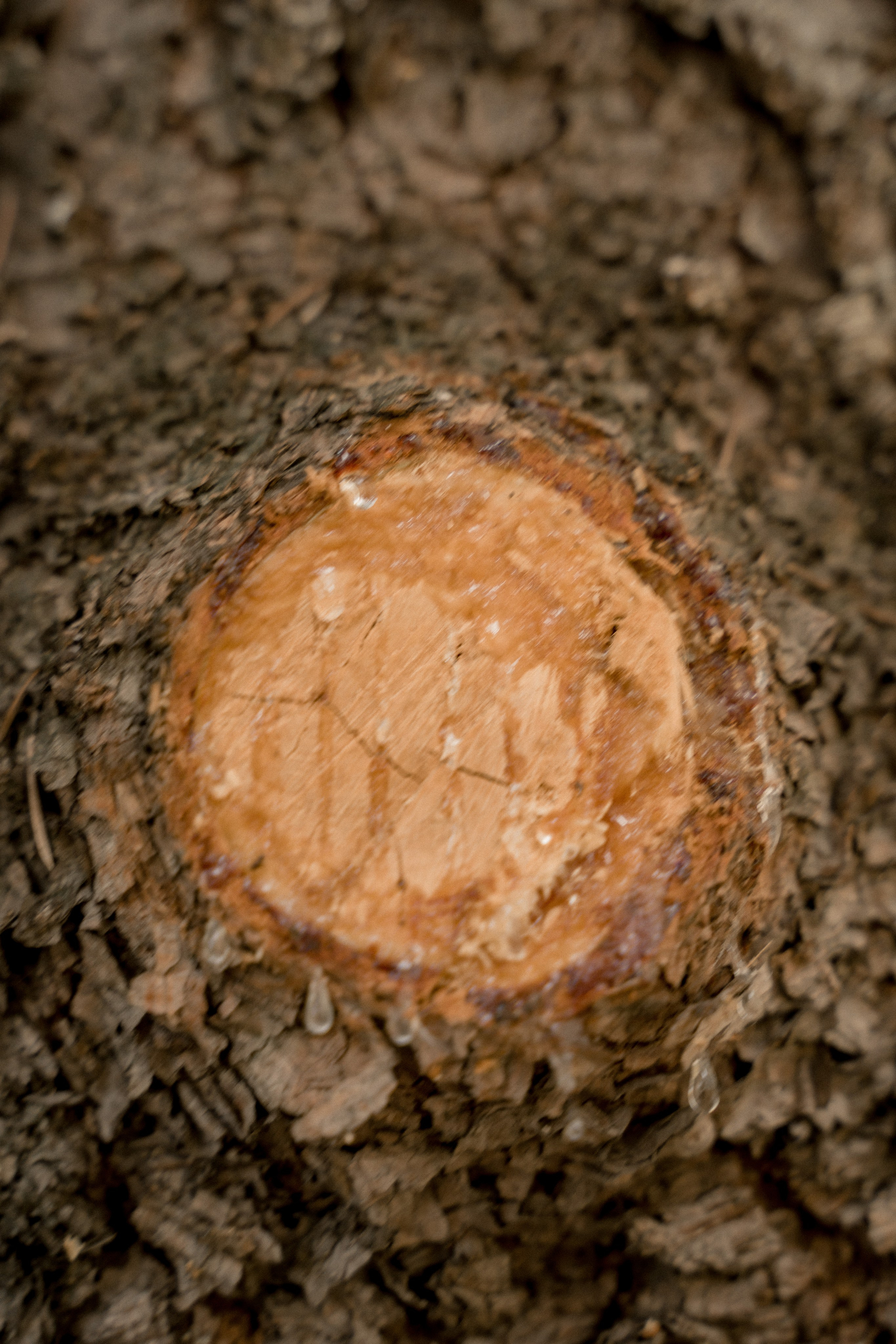 Фотомедитация с Марией Гулыниной. Контент-фотограф в Нижнем Новгороде Антошина Ольга