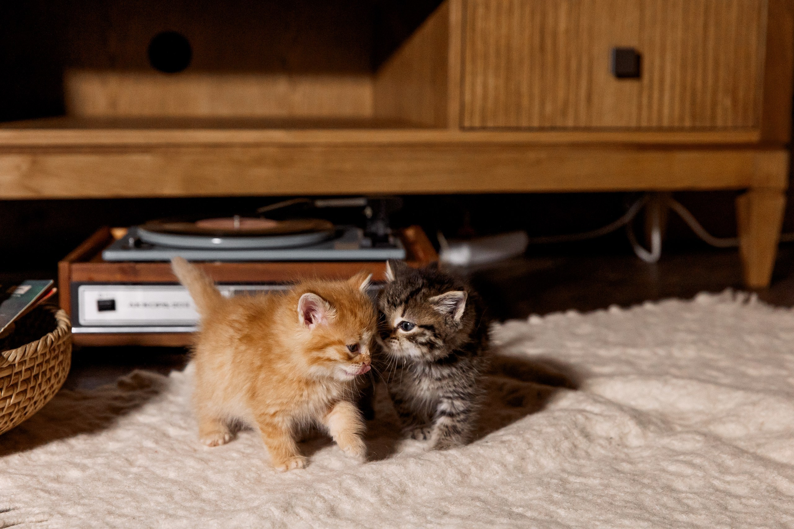 Эдуард и Дарья с сыновьями. Свадебный и семейный фотограф в Челябинске Юлия Ишимова
