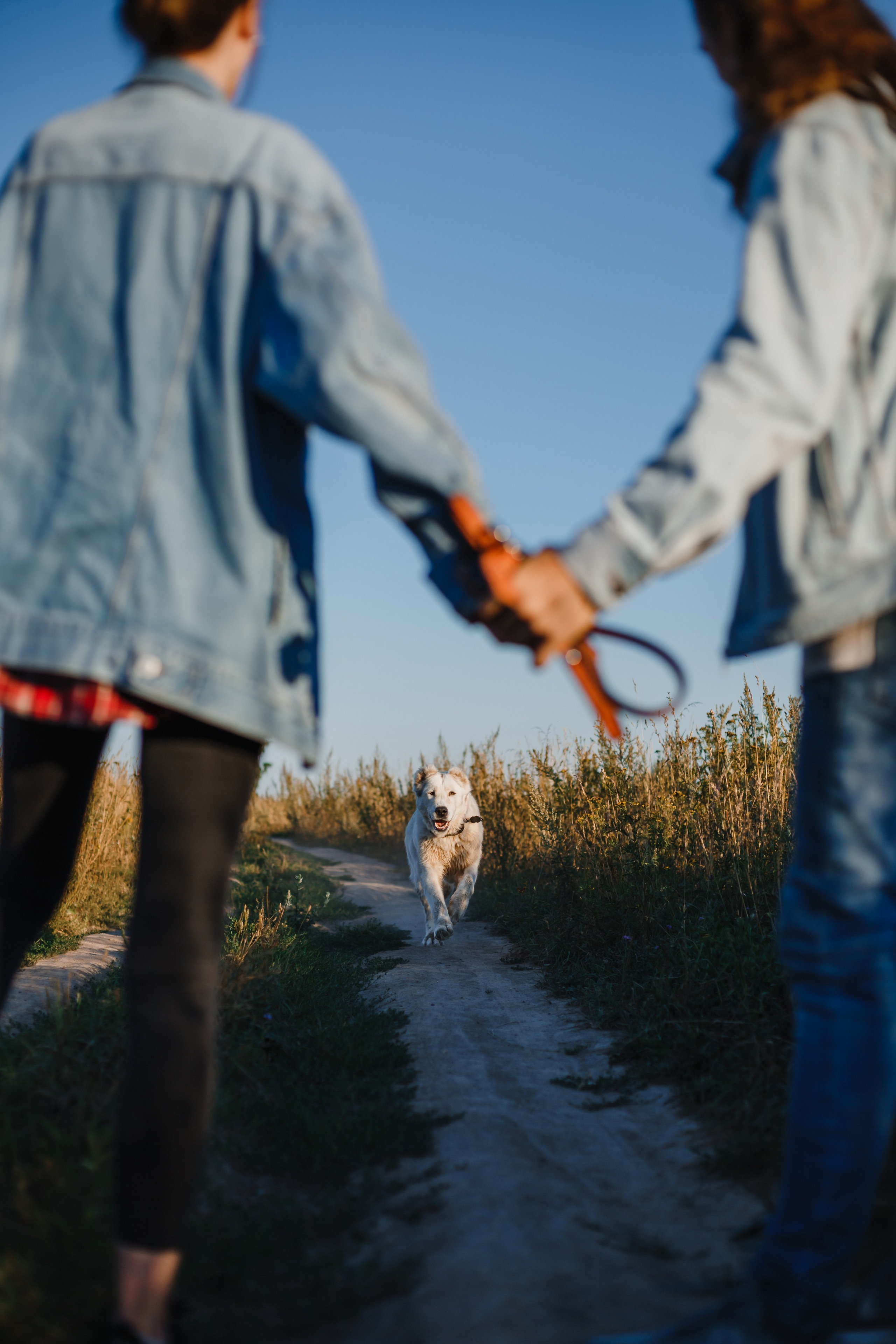 Олег, Женя, Берта. Семейный фотограф Николаева Ольга