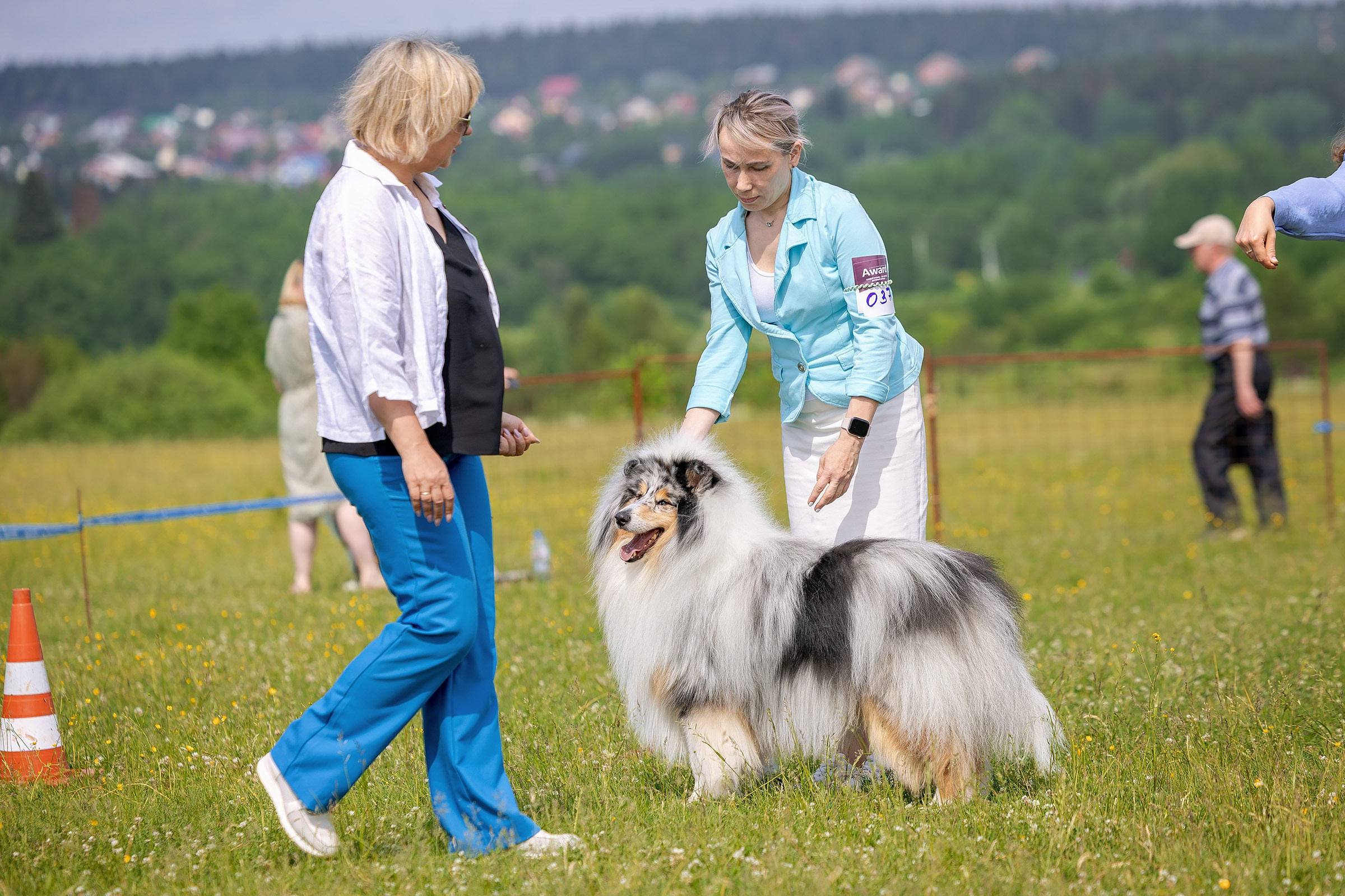 12 июня 2025, Выставка РКФ, Пермский край. Htykk_photo