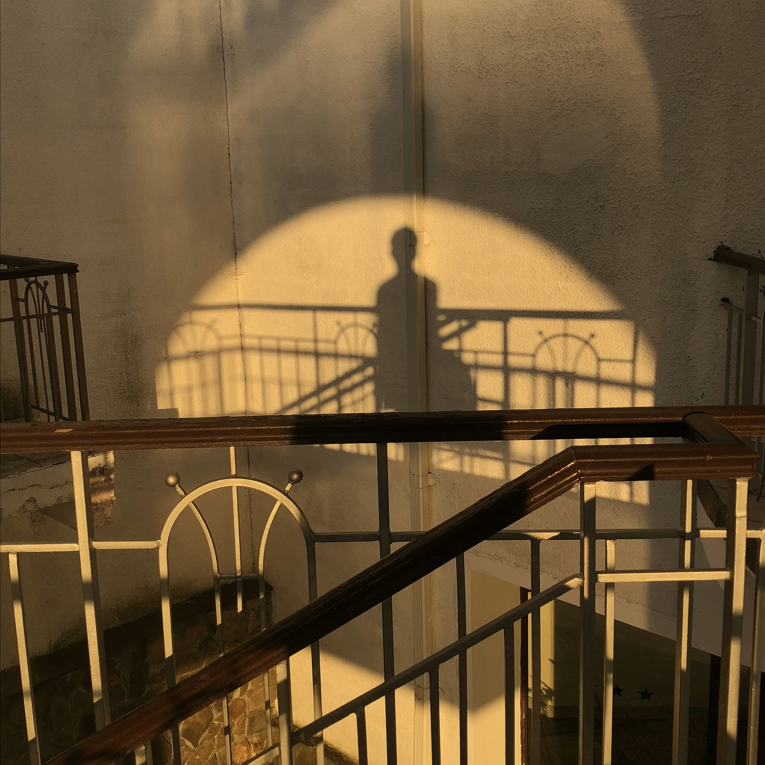 Разное. Фотограф Павел Шальнев