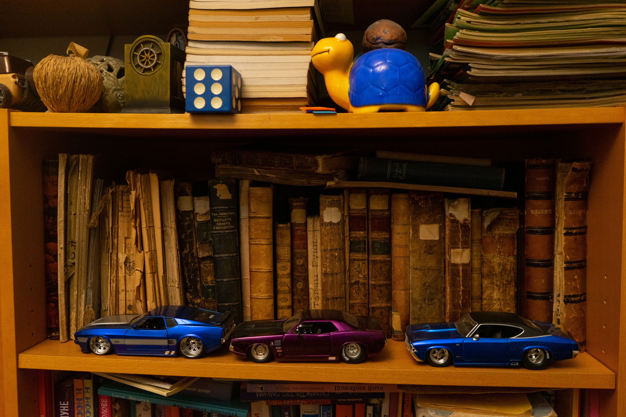 В гостях у писателя Михаила Есеновского. Фотограф Павел Шальнев