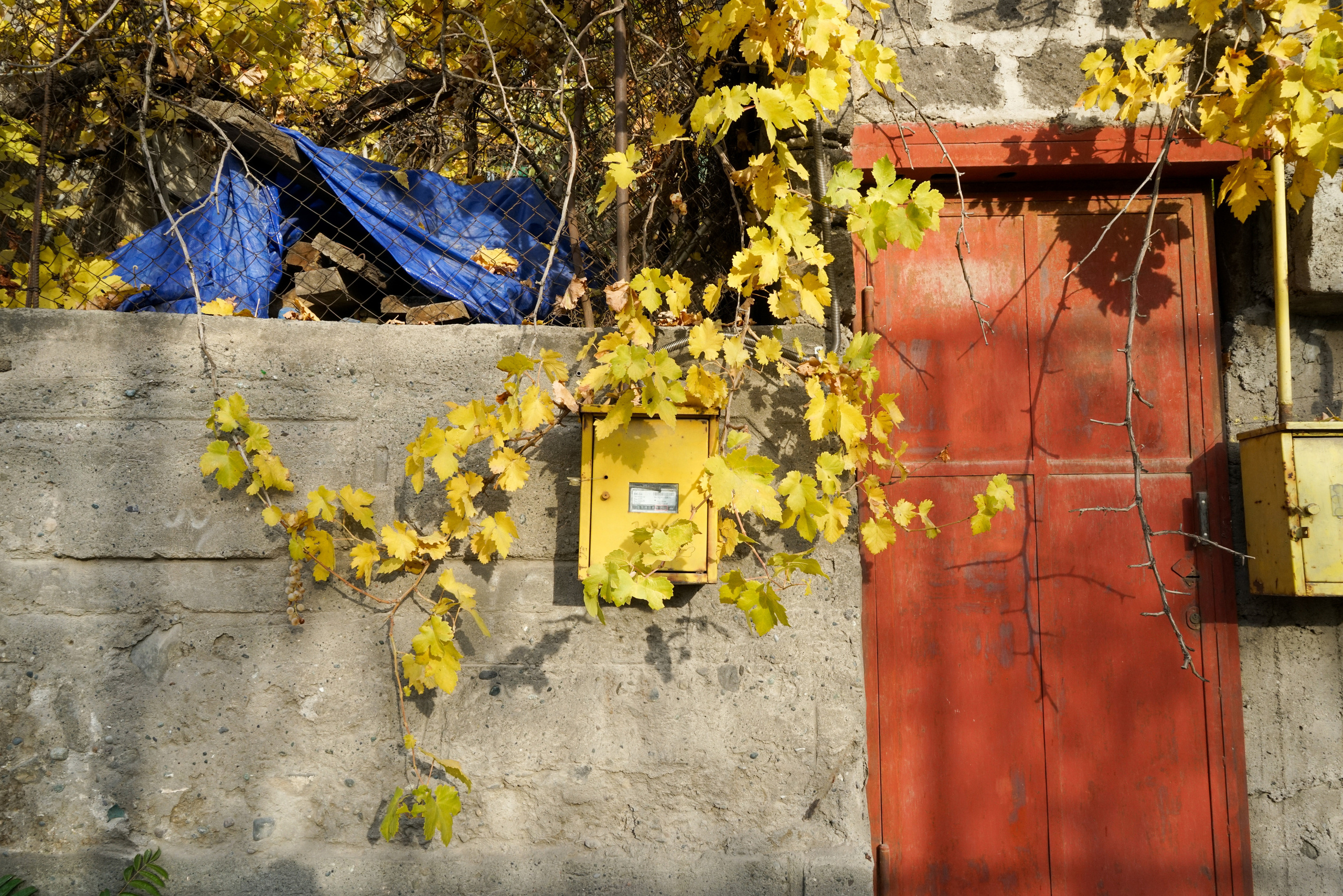 Стрит. Фотограф Павел Шальнев