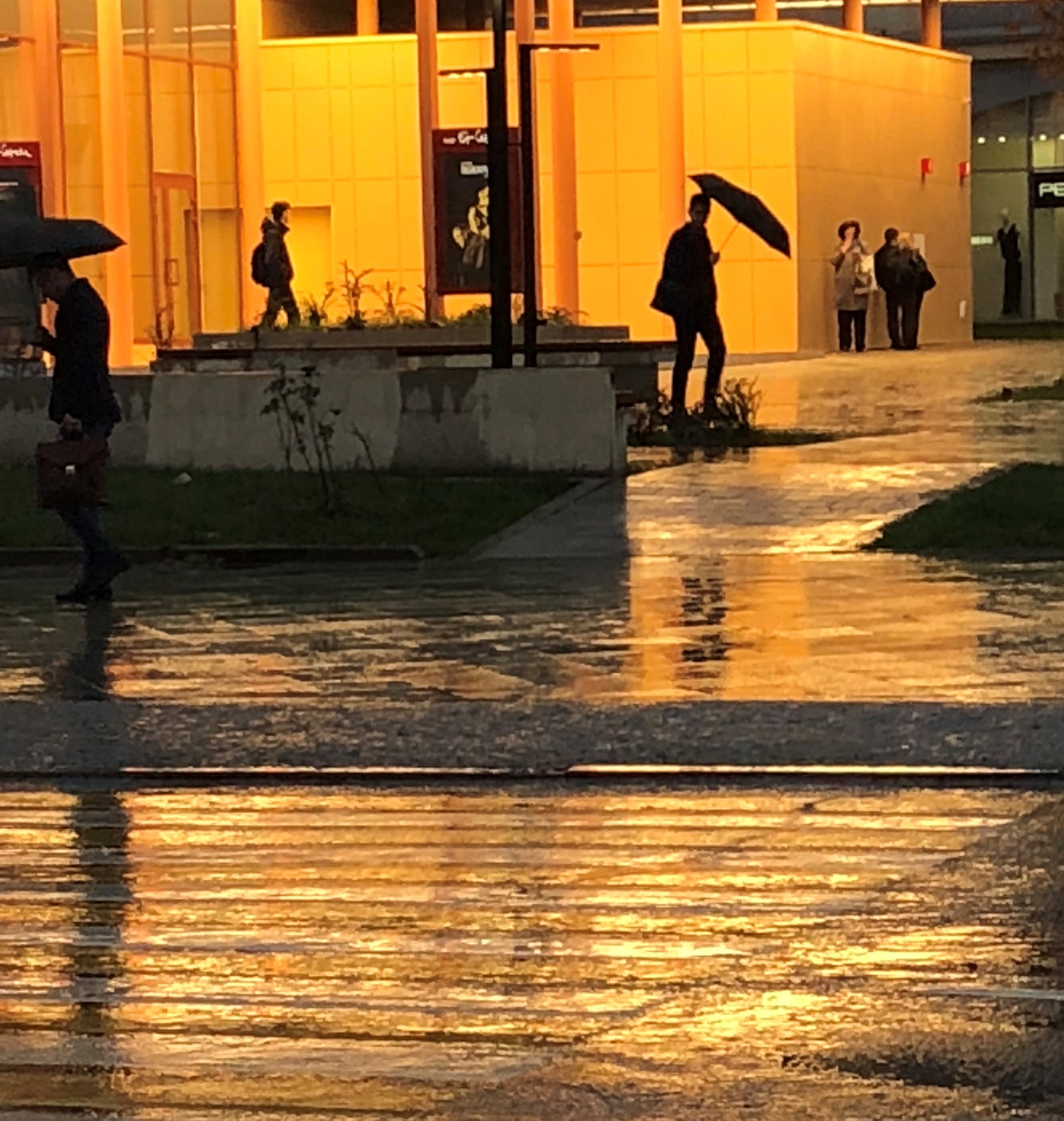 Разное. Фотограф Павел Шальнев