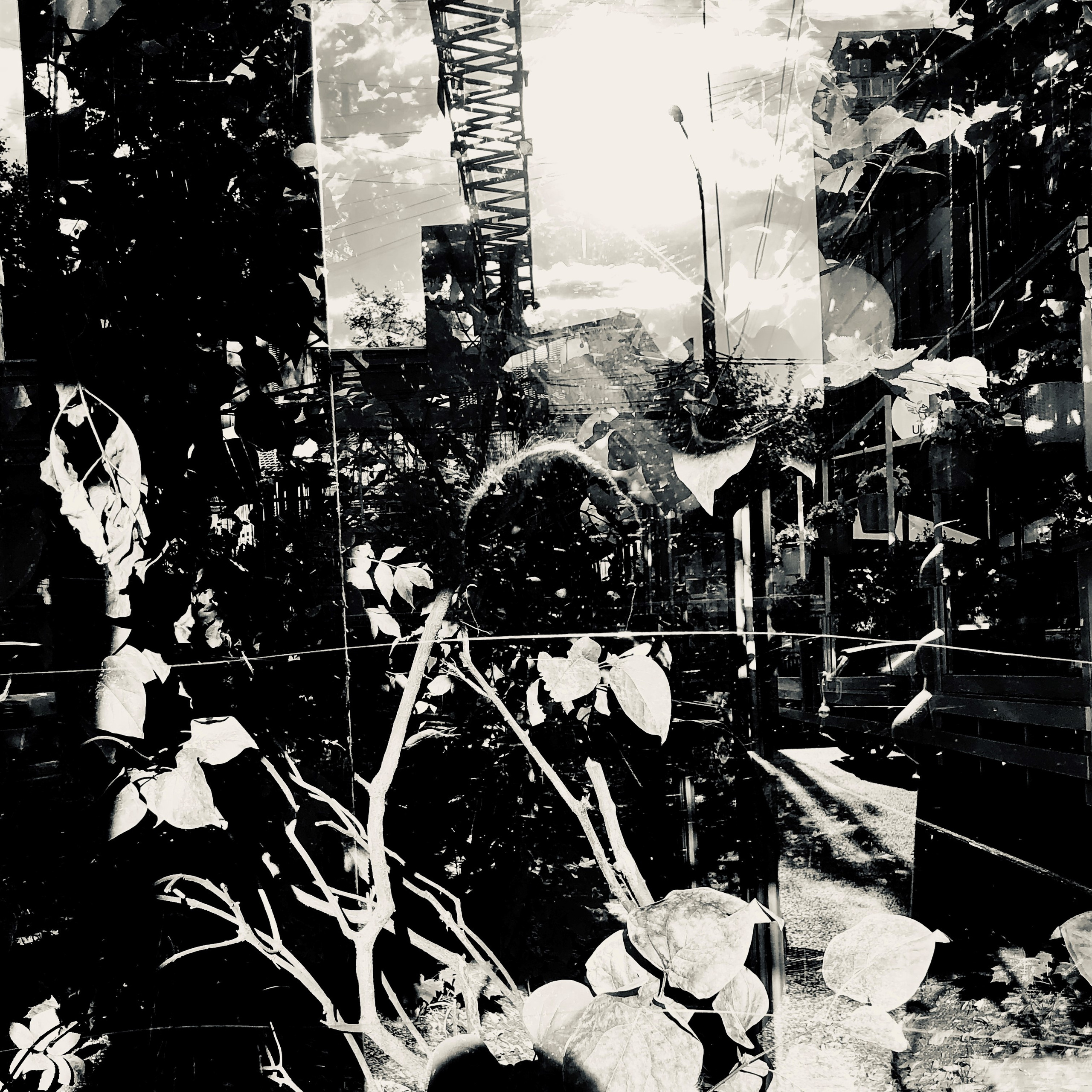 Разное. Фотограф Павел Шальнев