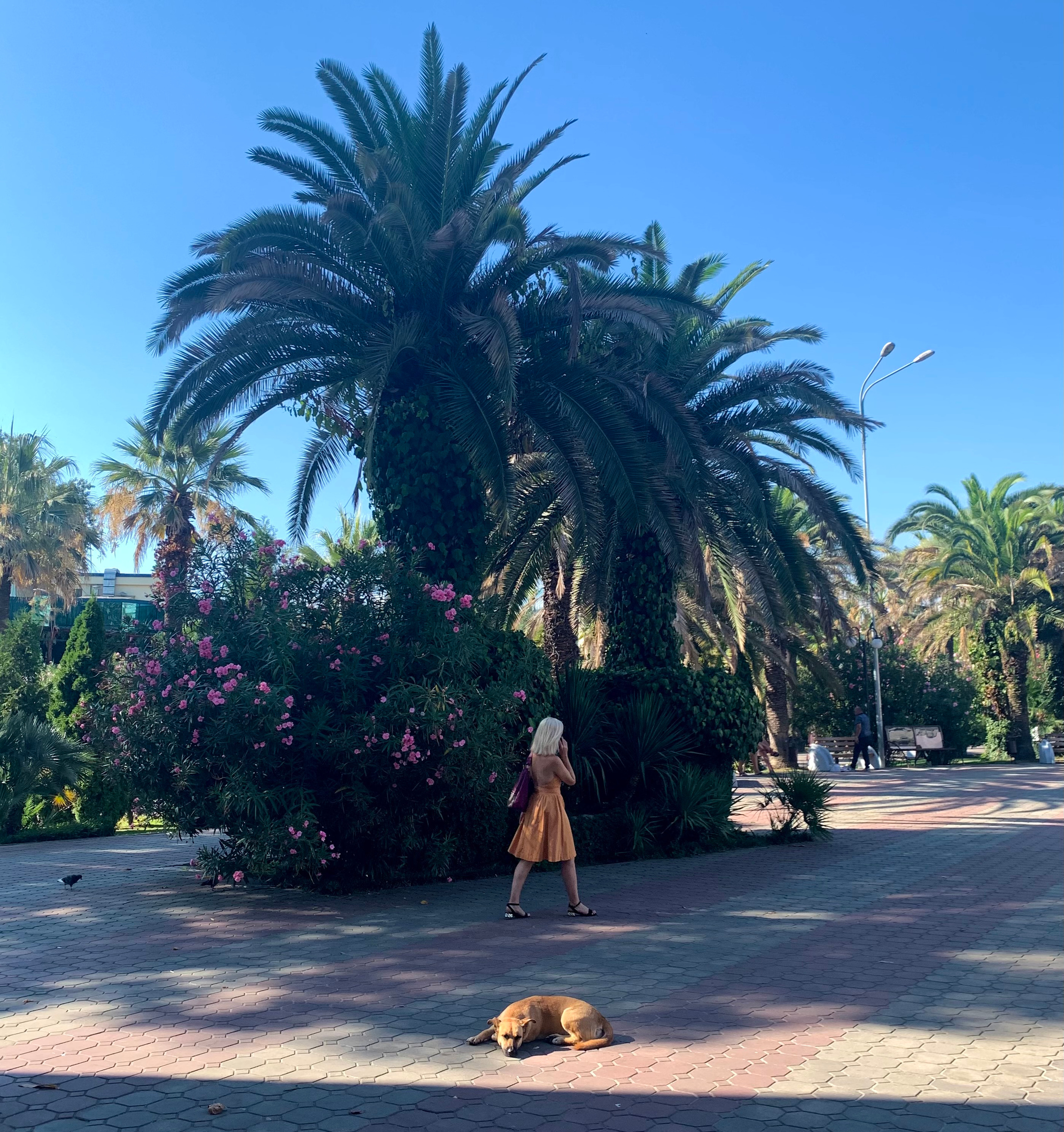 Разное. Фотограф Павел Шальнев