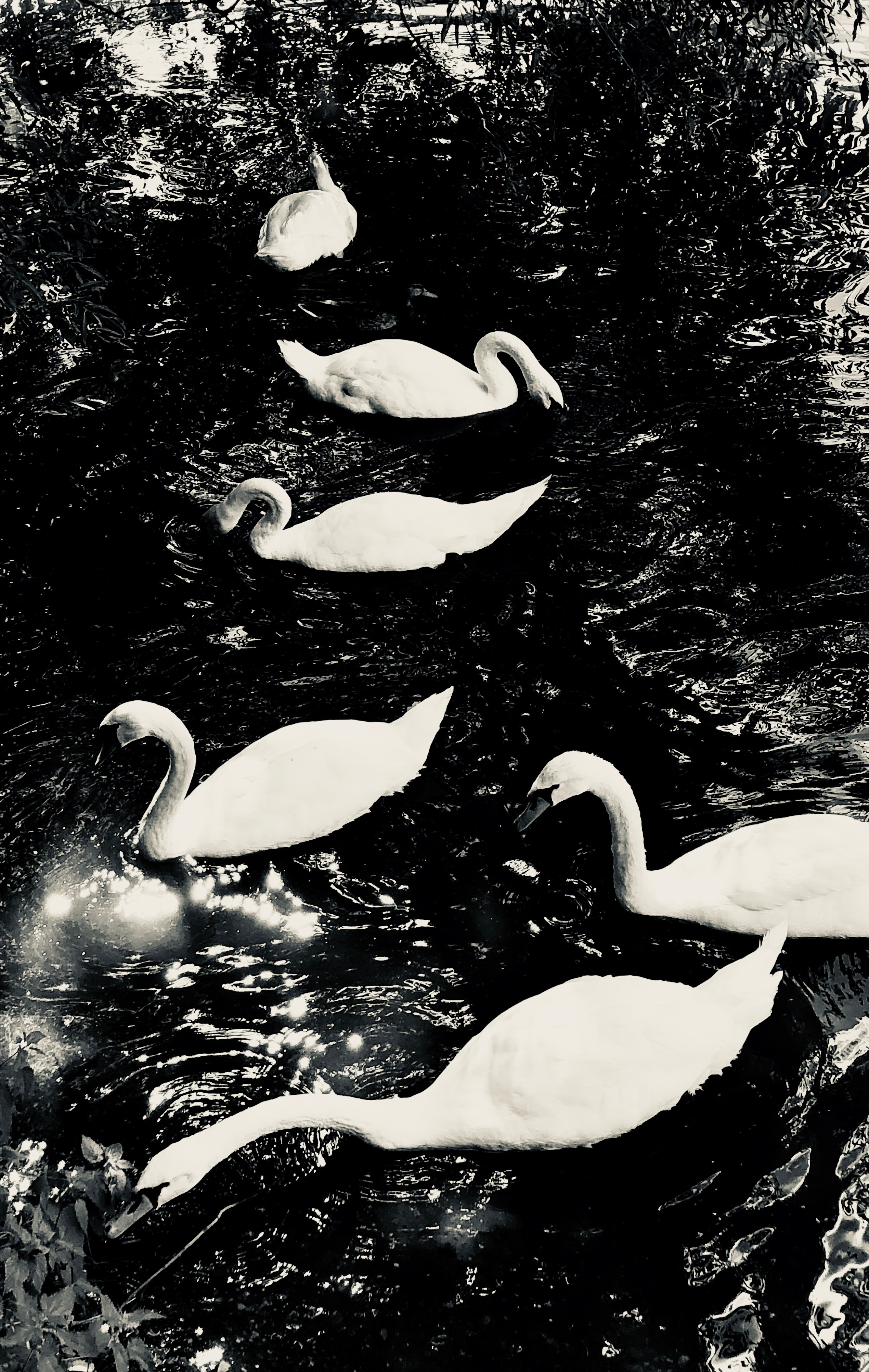 Разное. Фотограф Павел Шальнев