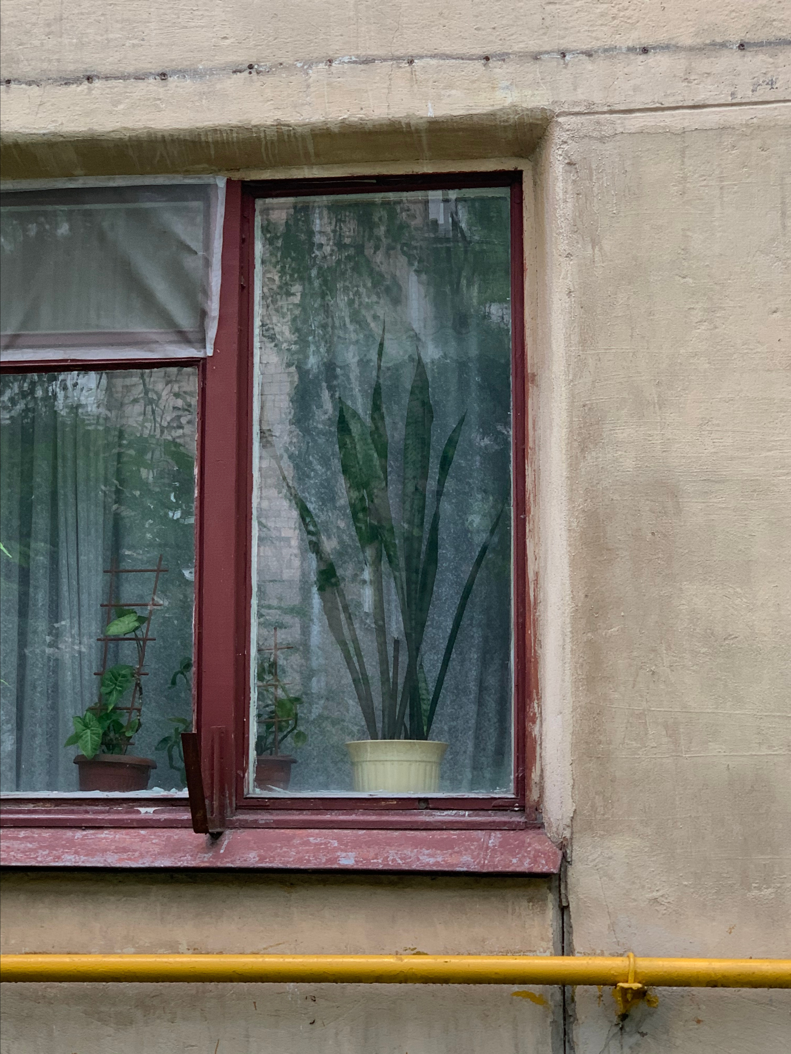 Разное. Фотограф Павел Шальнев