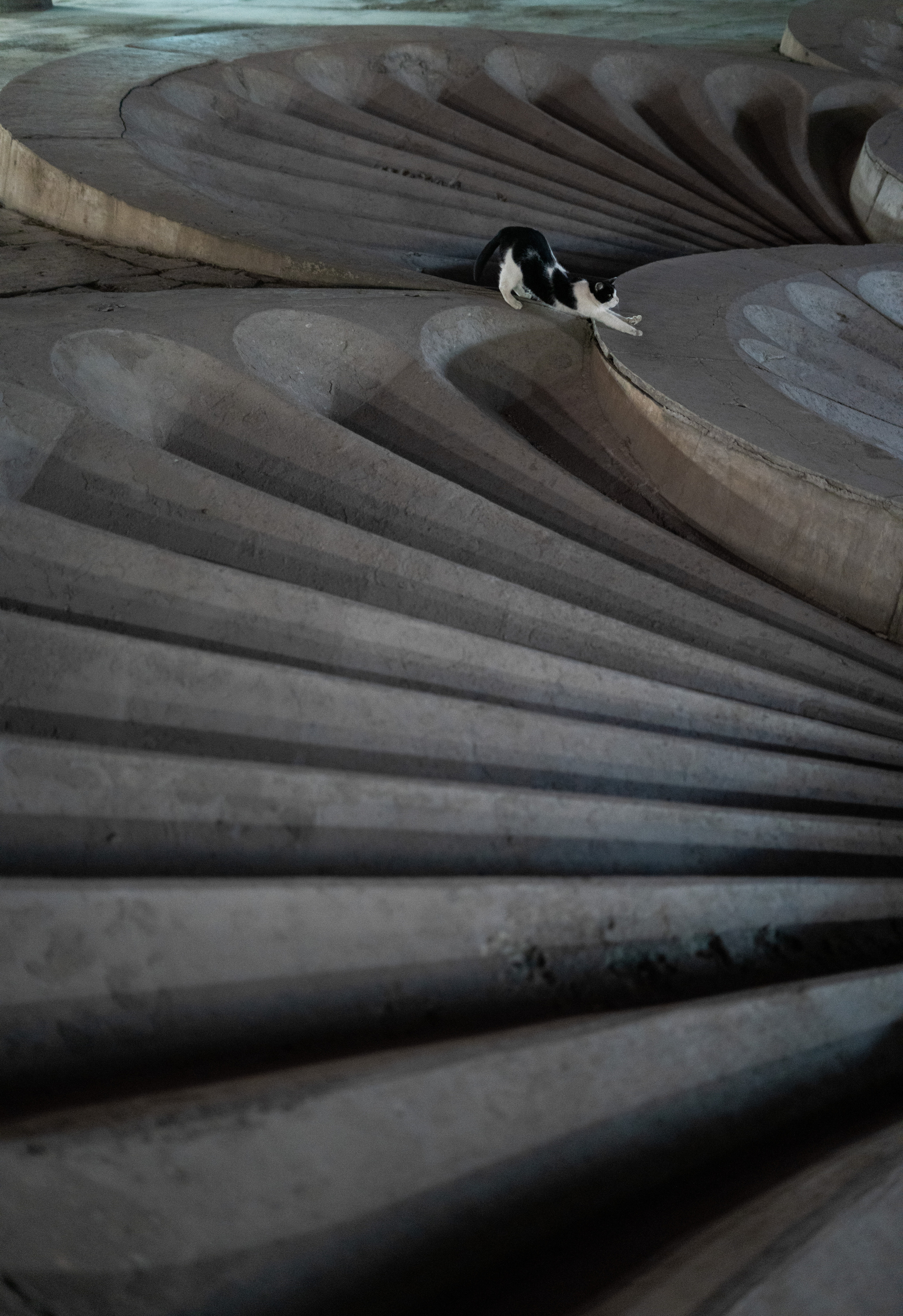 Стрит. Фотограф Павел Шальнев